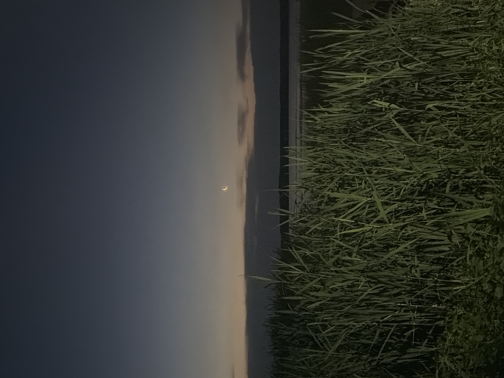 Nighttime camping scene with crescent moon, campfire, fishing gear documented