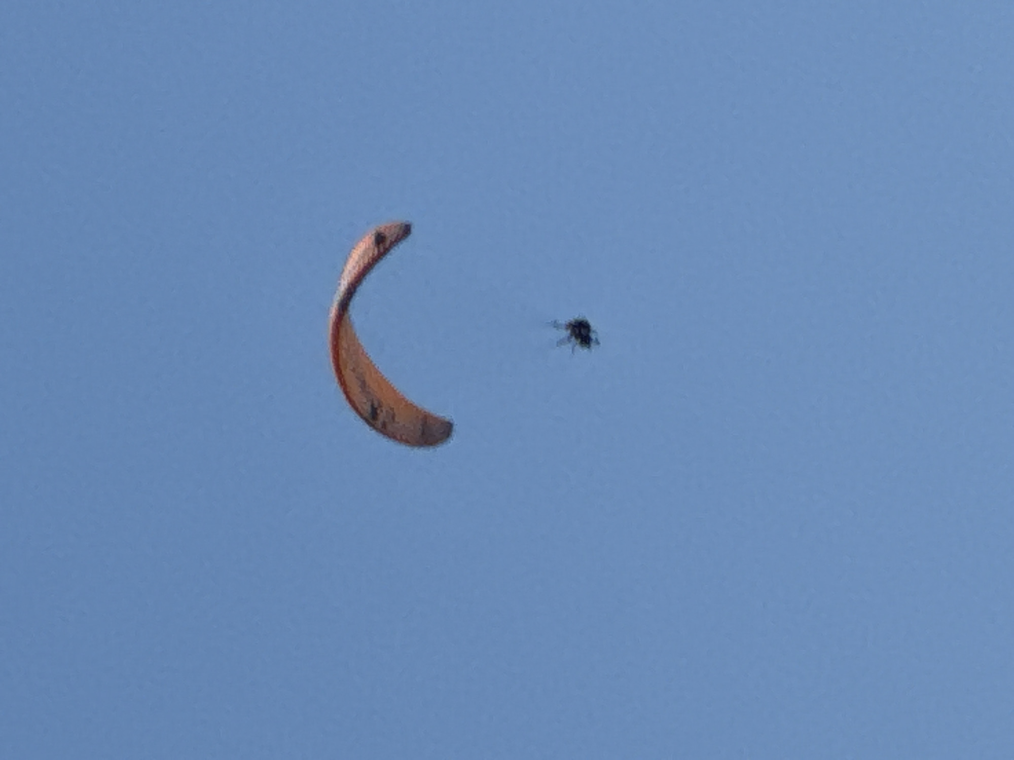 Paragliding over the Adriatic coast in Boreti, Montenegro
