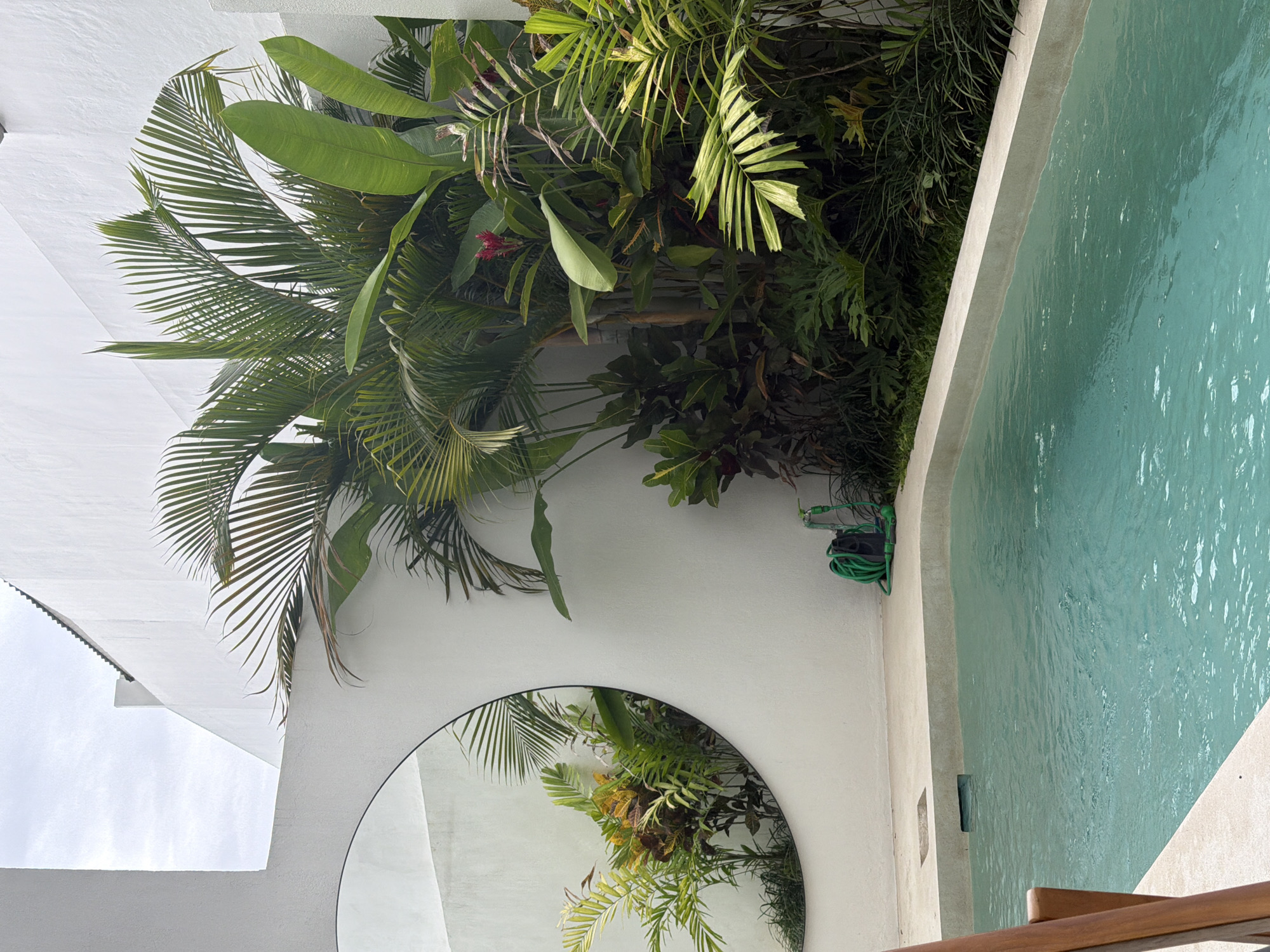 Tropical pool scene with overgrown vegetation observed in Indonesia