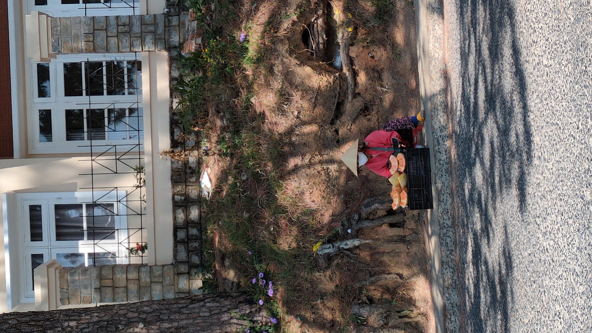 Early morning fruit vendor spotted in Da Lat