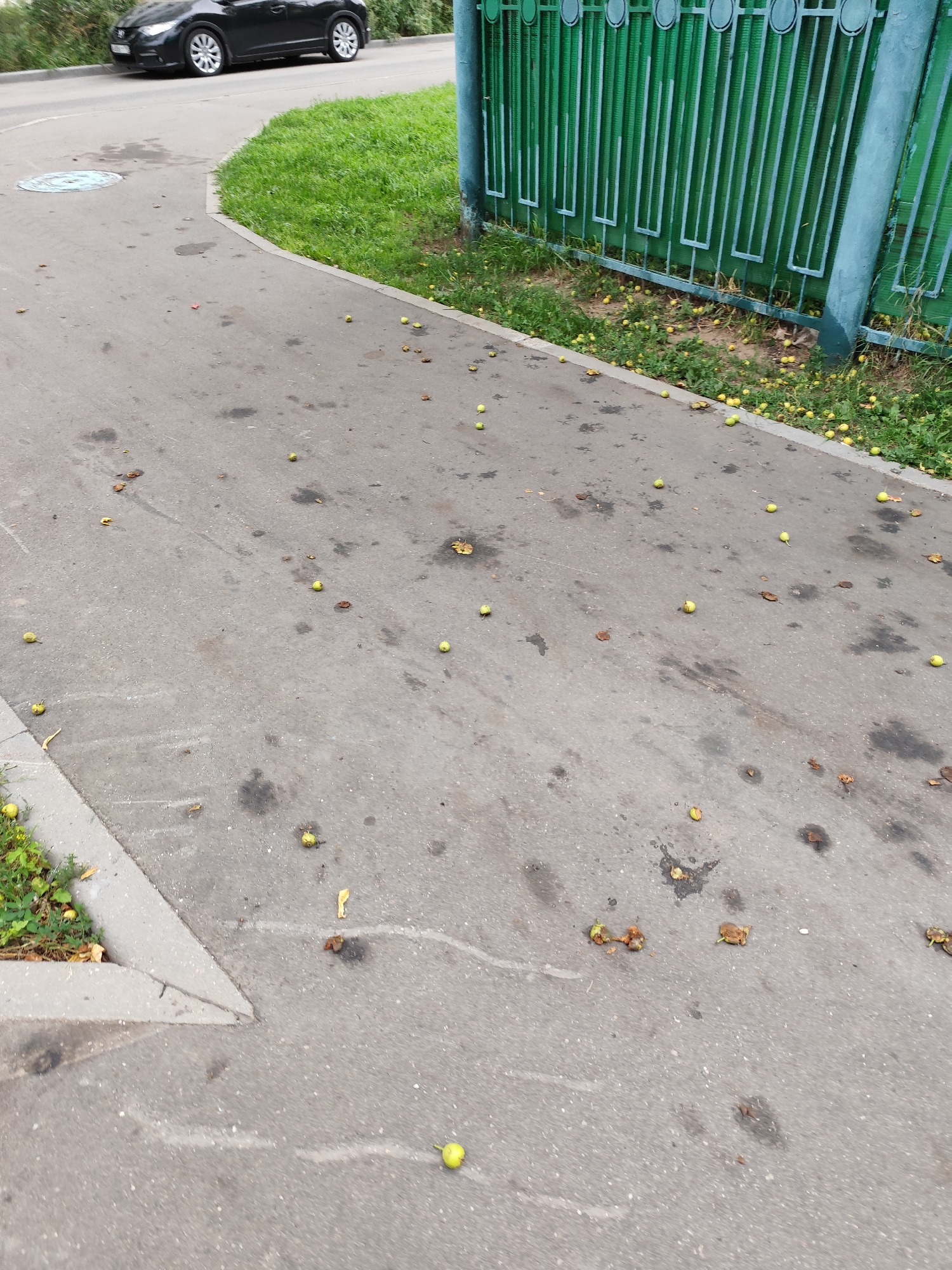 Quiet Moscow neighborhood: playground, pigeons, and parked cars