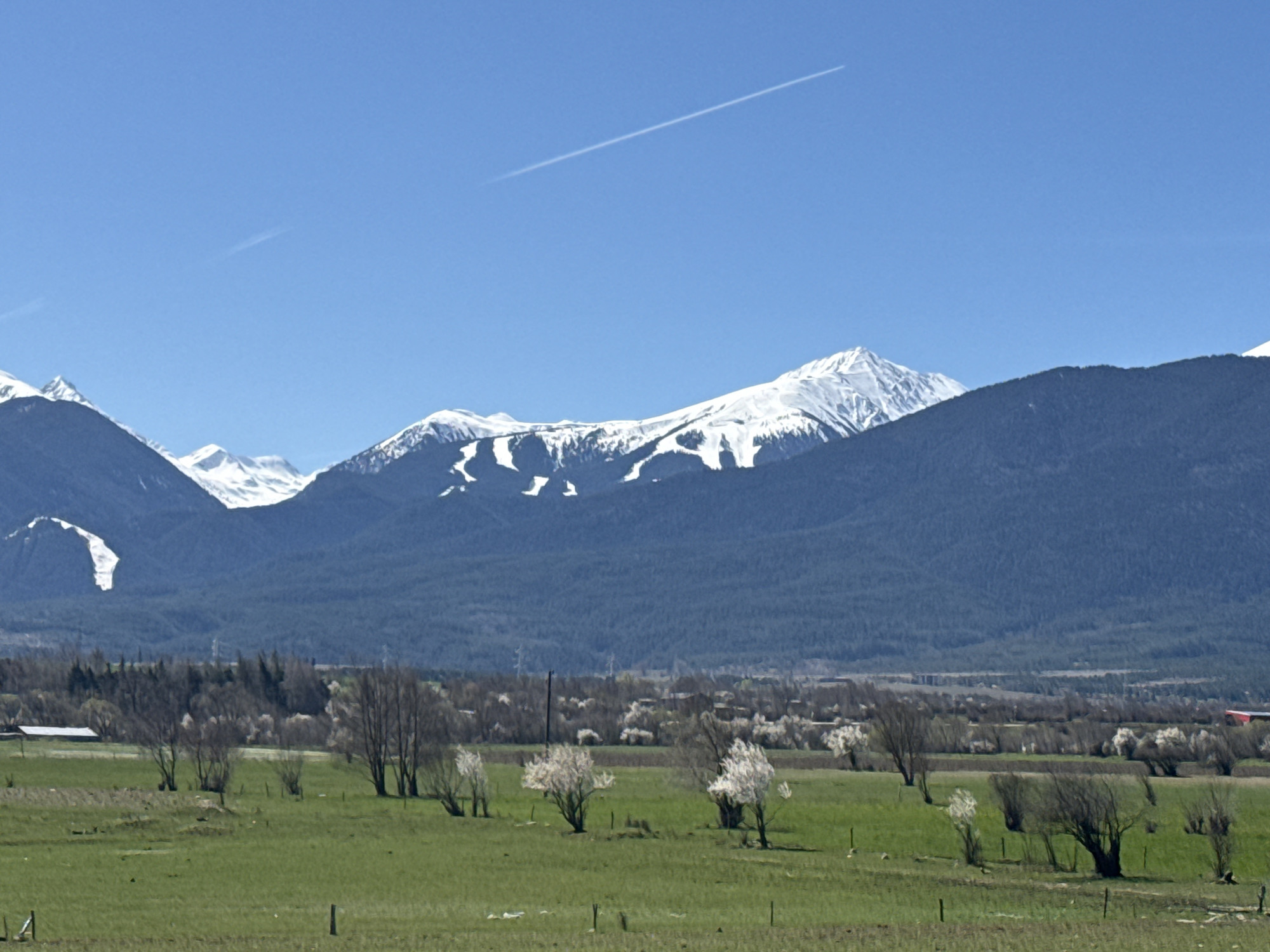 Spring blossoms spotted in rural Razlog field