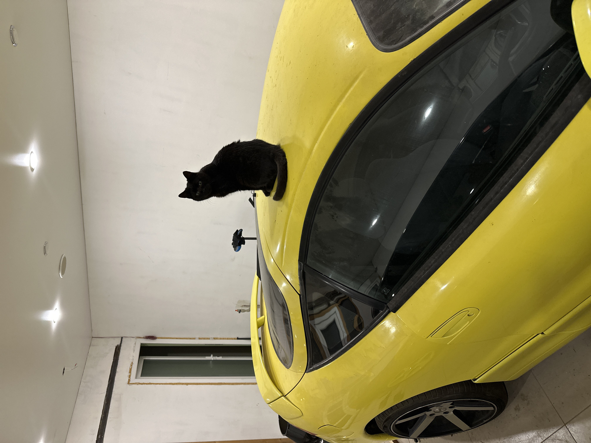 Black cat rests on yellow sports car in Kursk garage