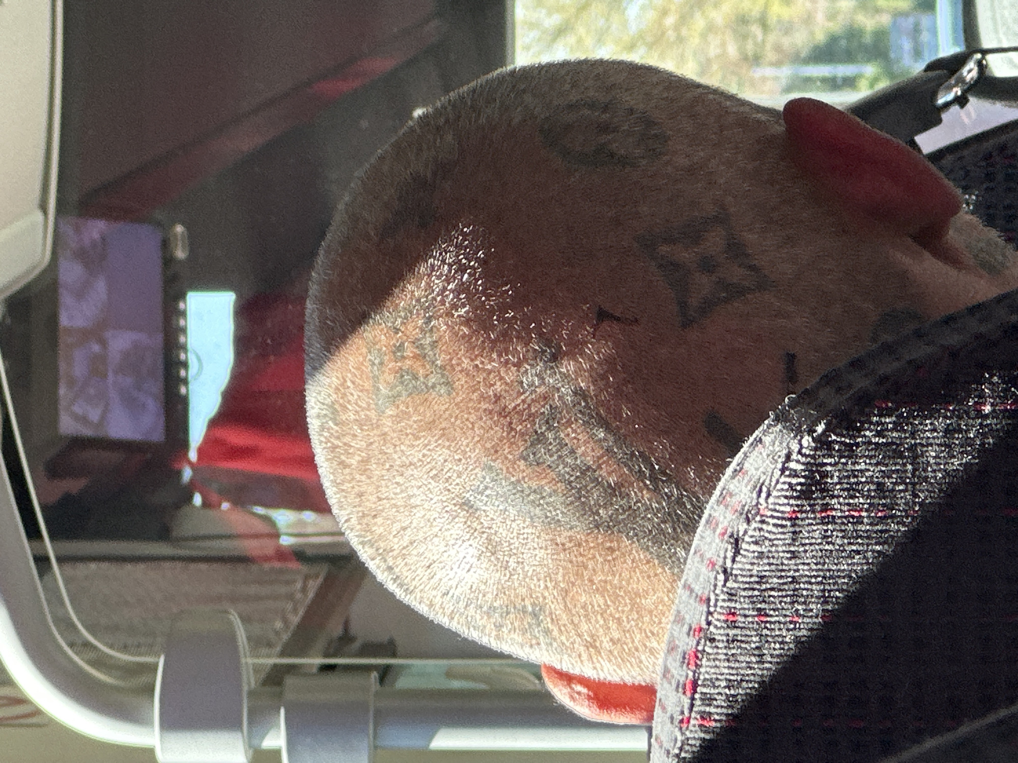 Passenger rests head on public transport in Aix-en-Provence