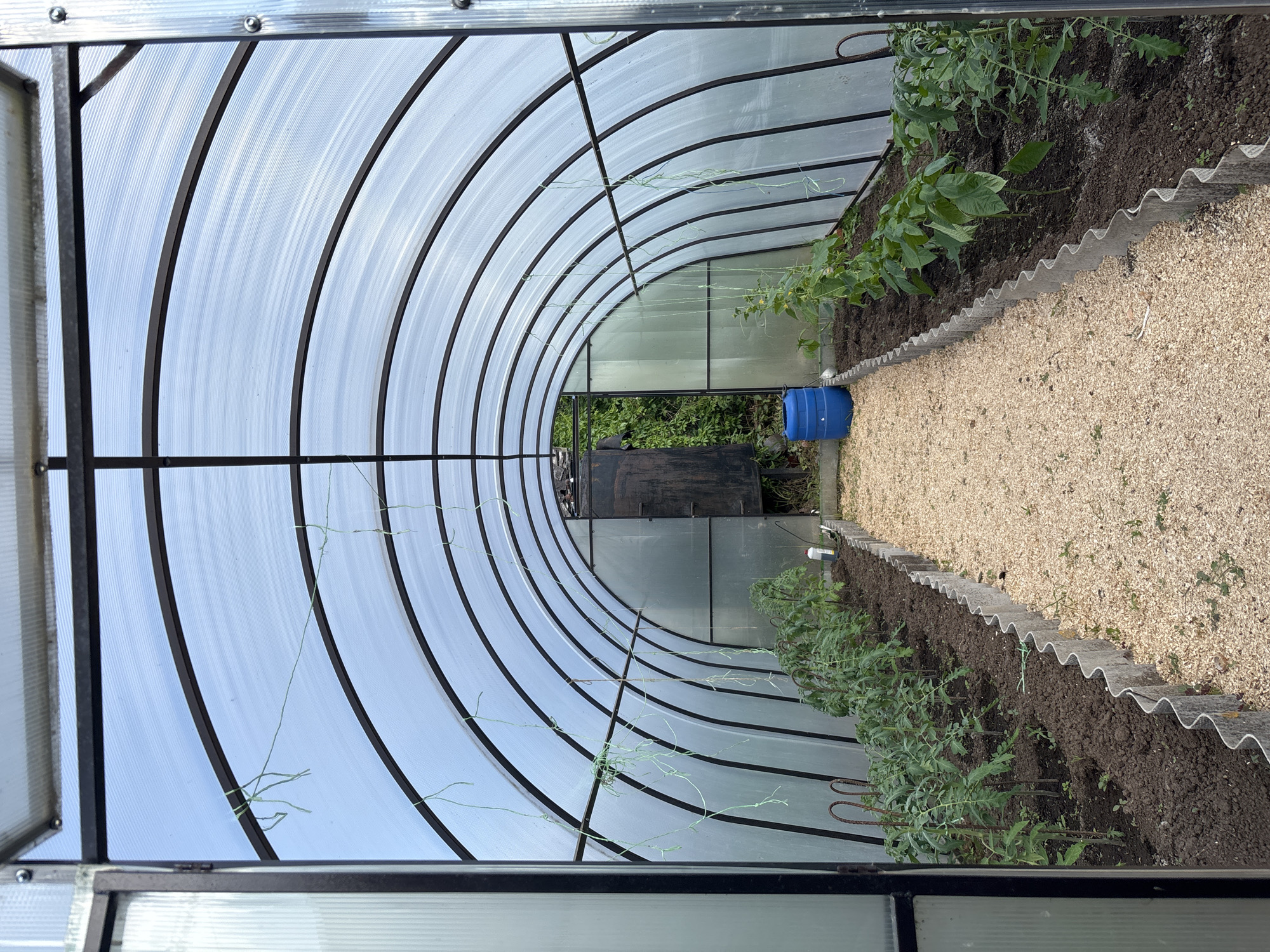 Casual greenhouse visit documented in Chaikovsky, Russia