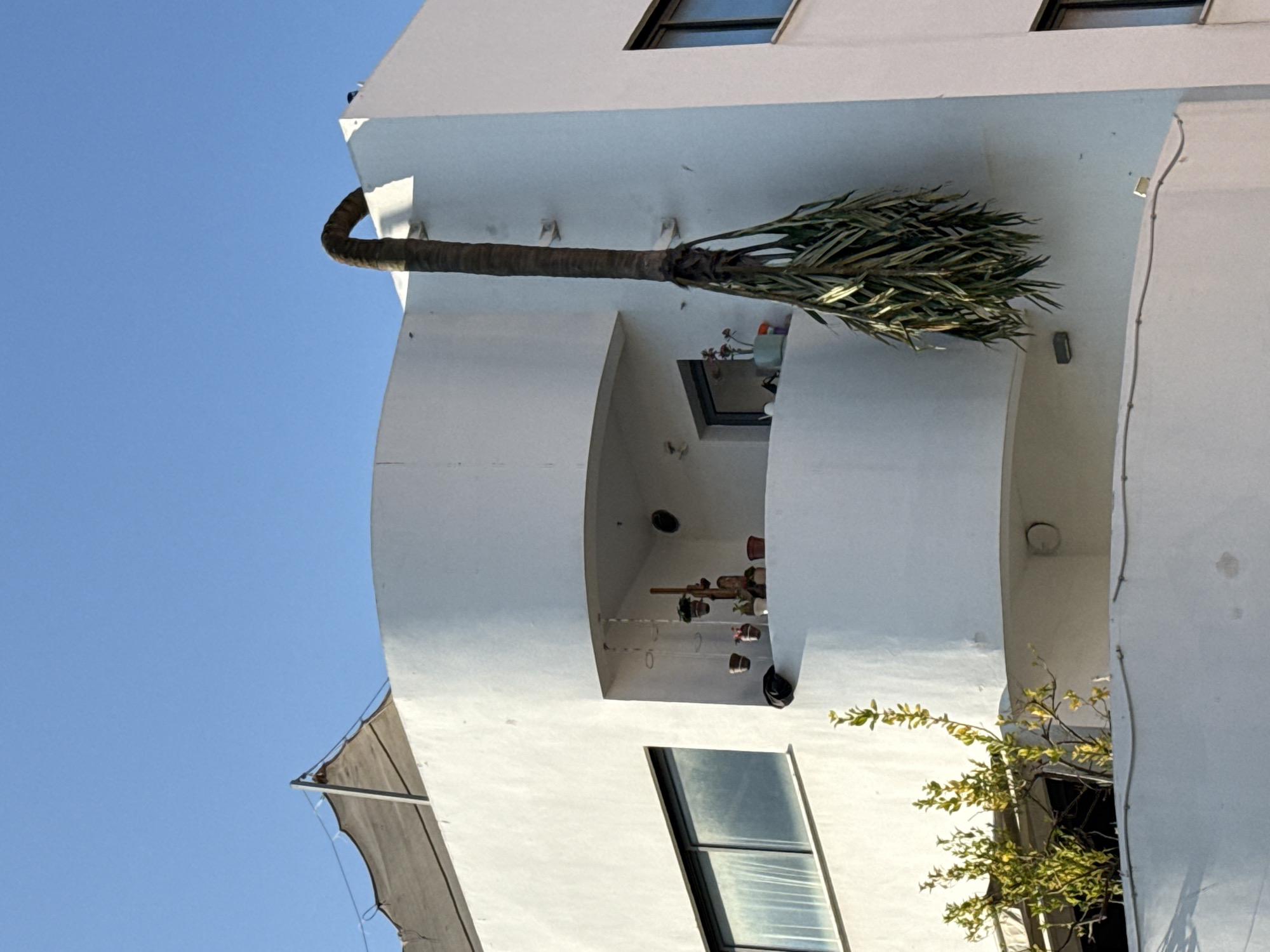 Early Morning Domestic Scenes Documented Across Tel Aviv