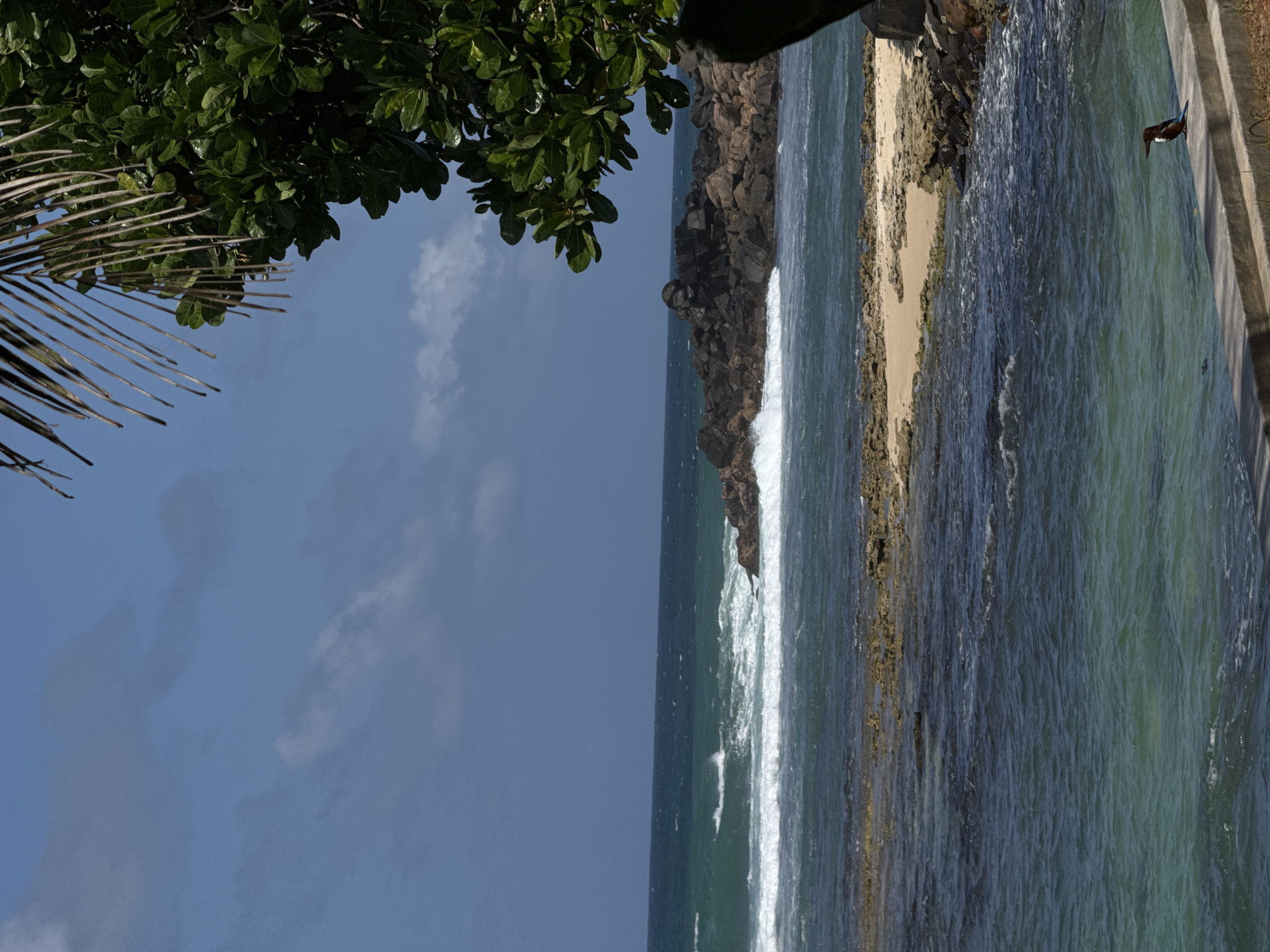 Beachside yoga spot with a kingfisher on the ledge