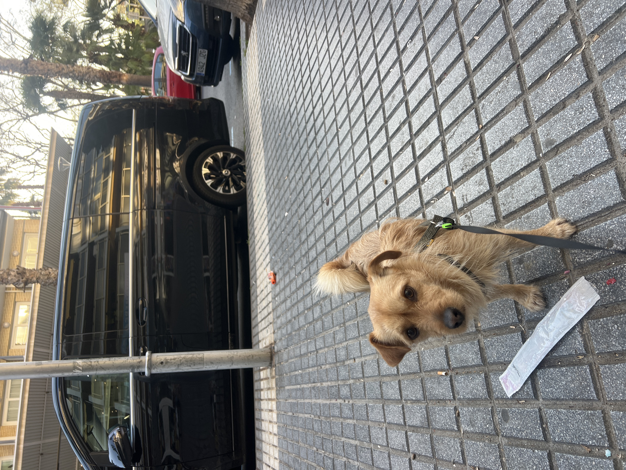 Everyday street life captured in Salou, Spain