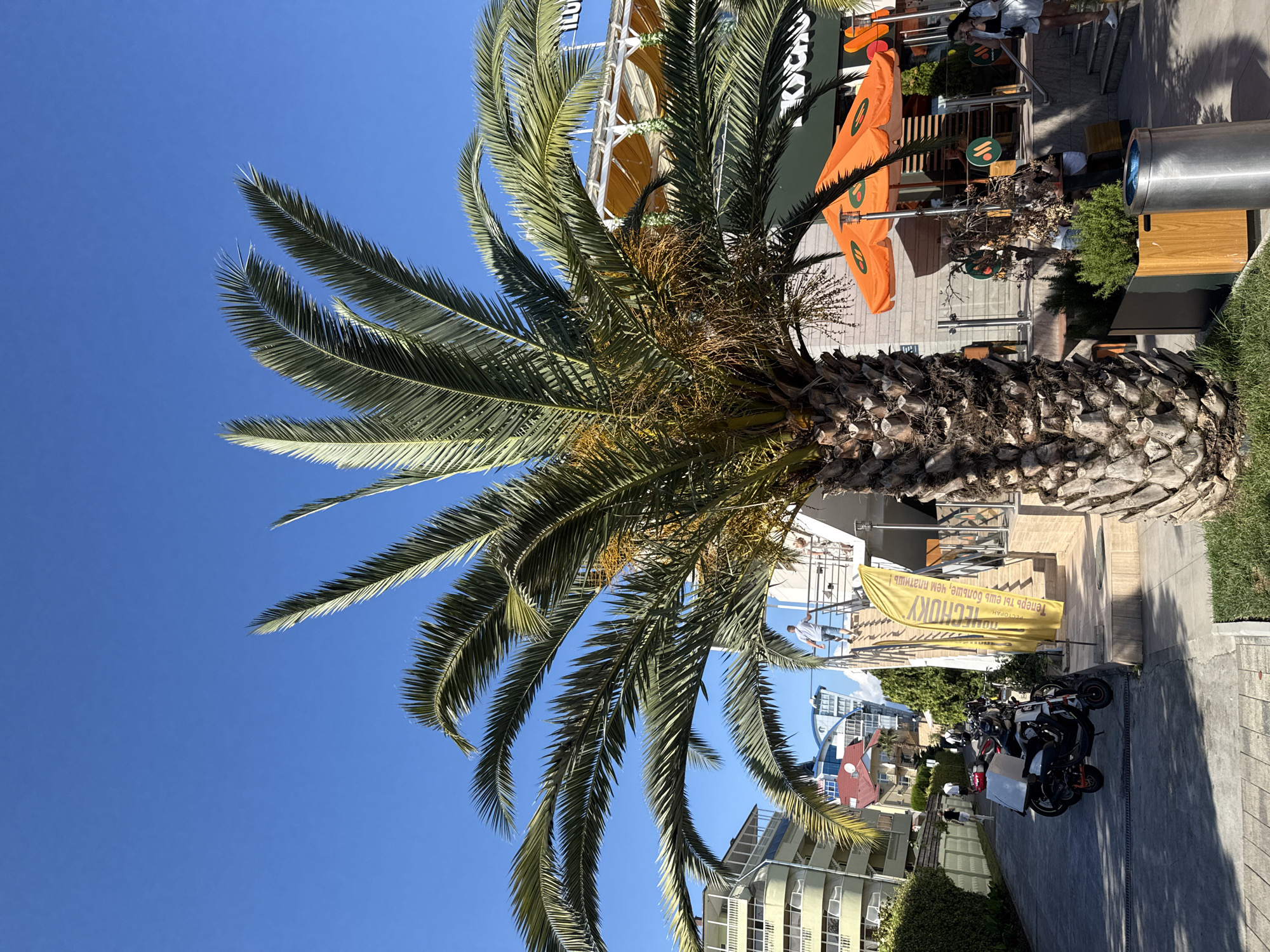 Sochi's beachfront promenade in full summer swing