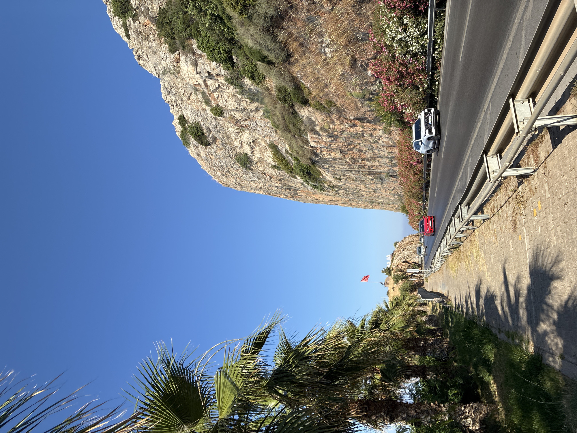 Morning stroll along Alanya's coastline, flora and seaside details