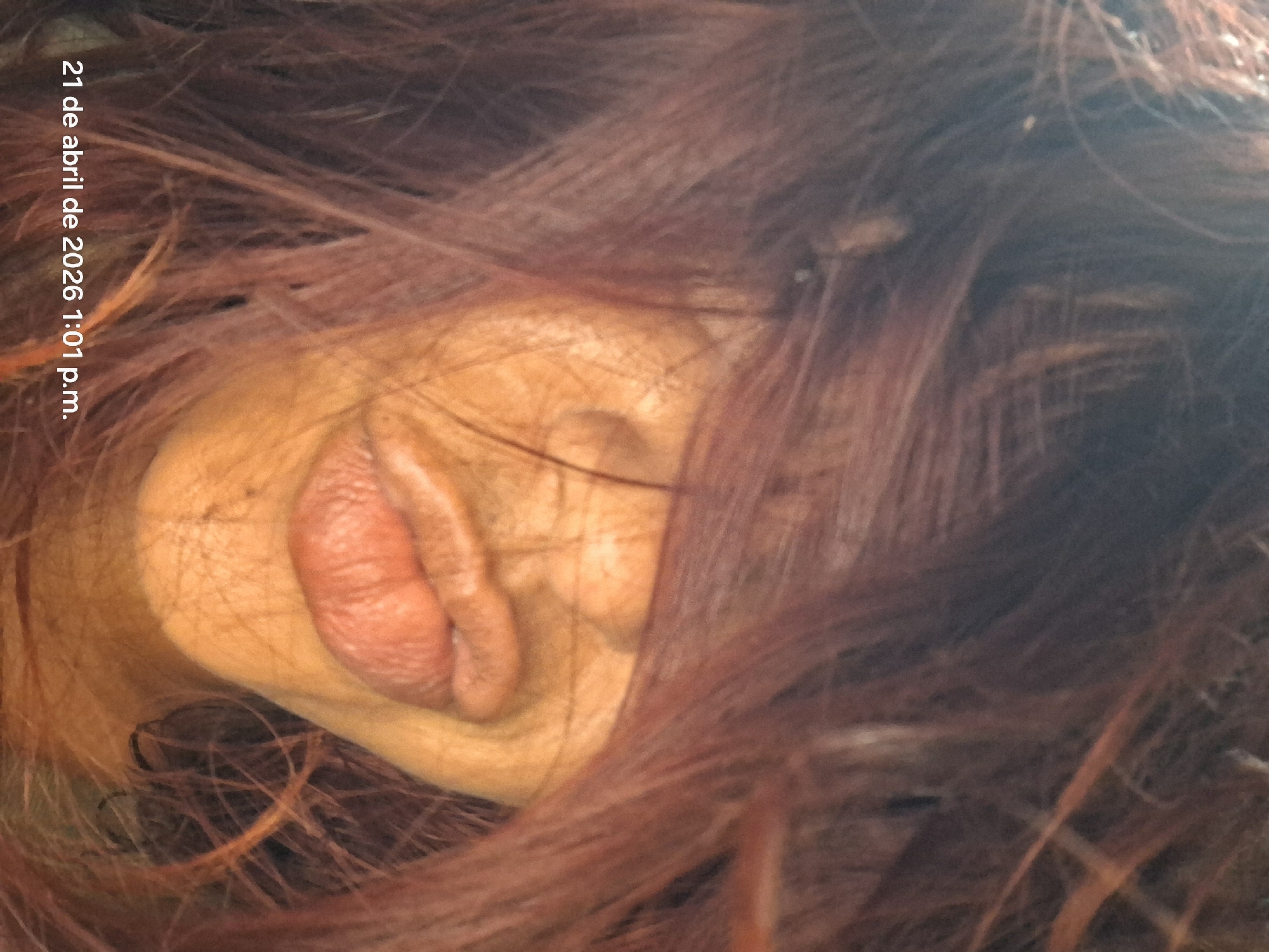 Personal moments documented in close-up photos in Vallecito, Venezuela