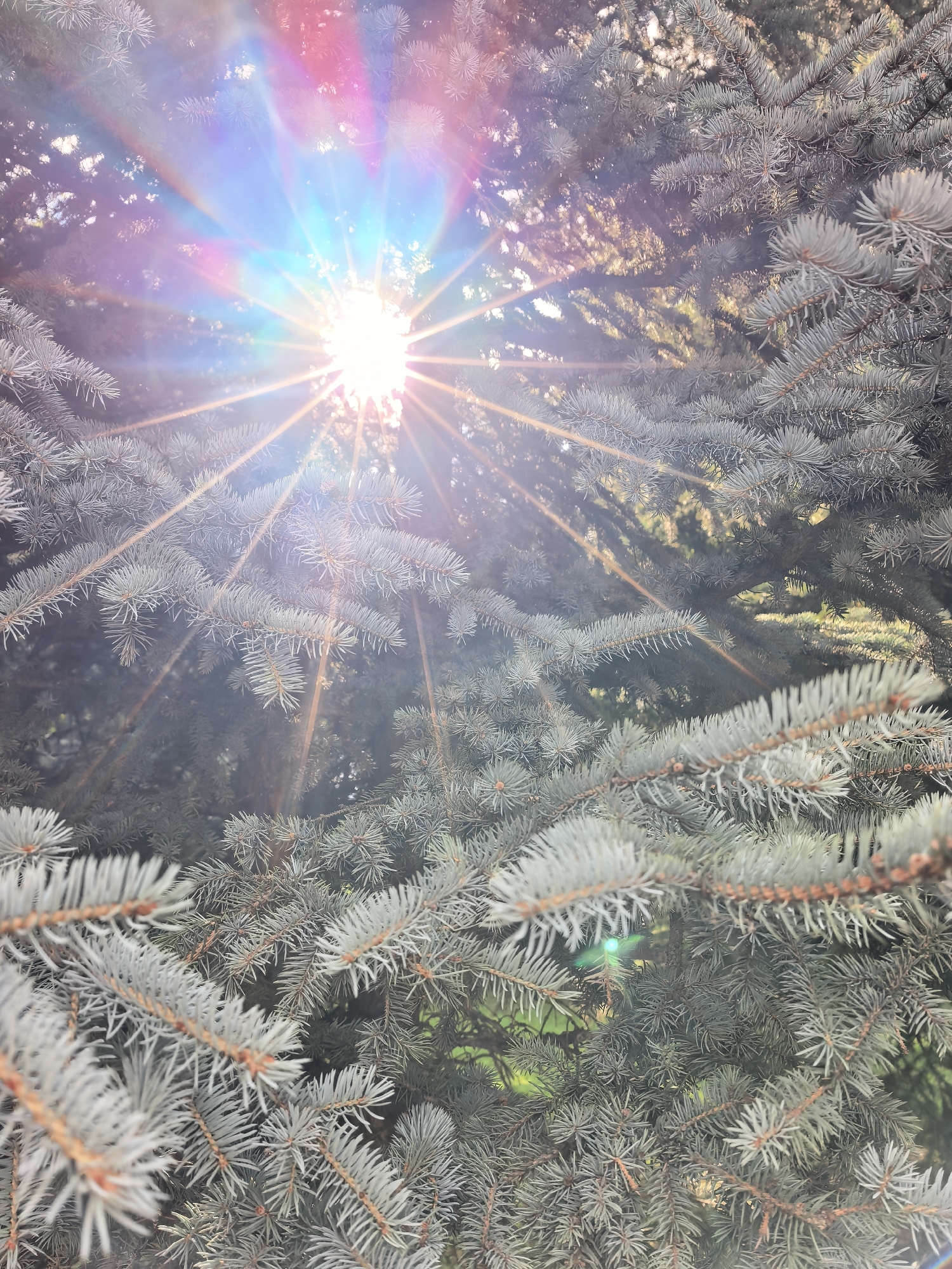 Park visit in Sterlitamak: military hardware display and nature details
