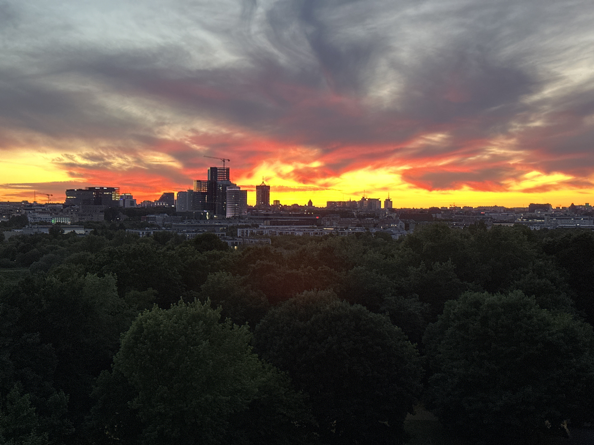 Black cat watches a vivid Poznań sunset from behind safety netting