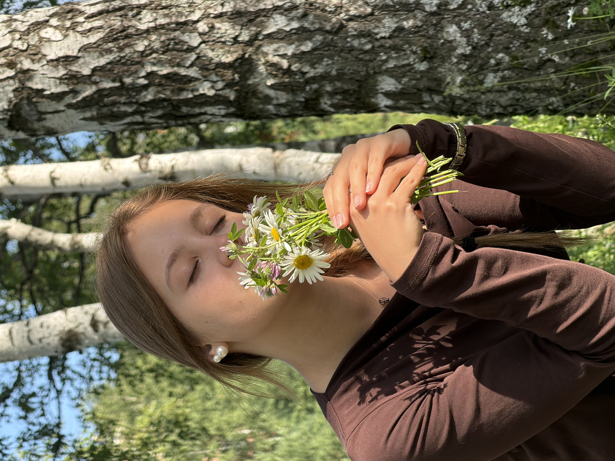Daisy-filled afternoon among birch trees in Lysva