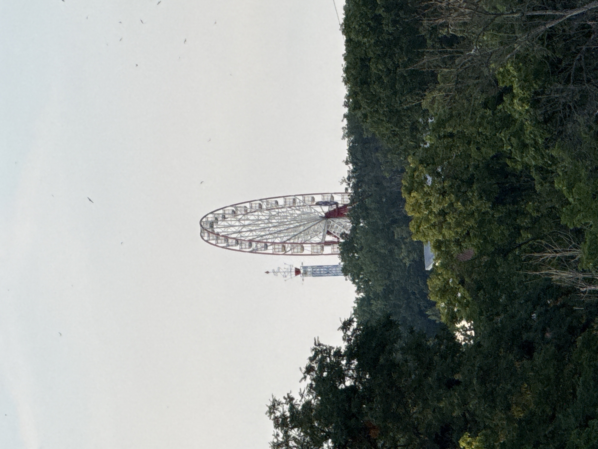 Ferris wheel and tower peek above Kharkiv's summer tree line