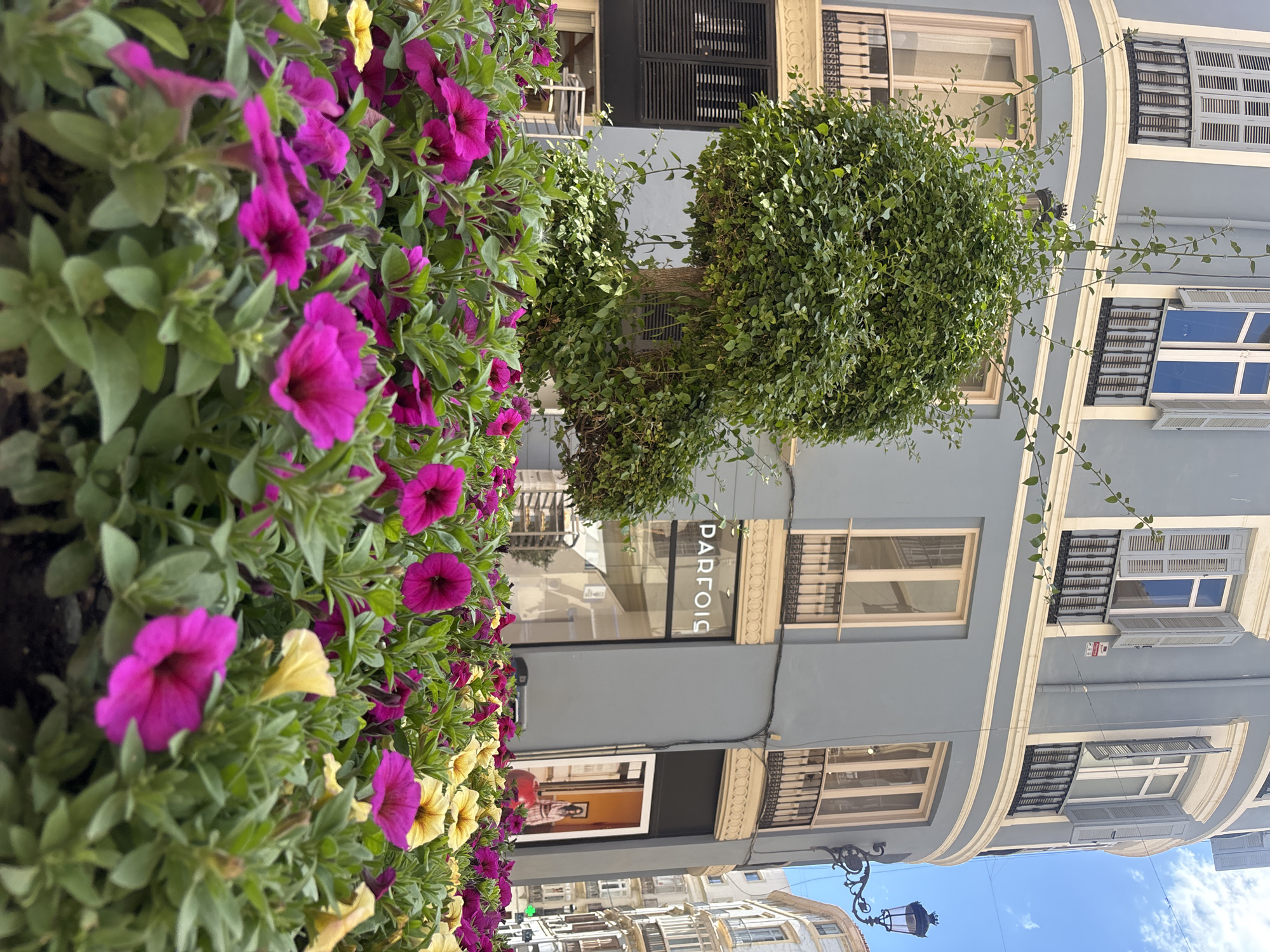 Málaga street scenes feature colorful flowers and architecture