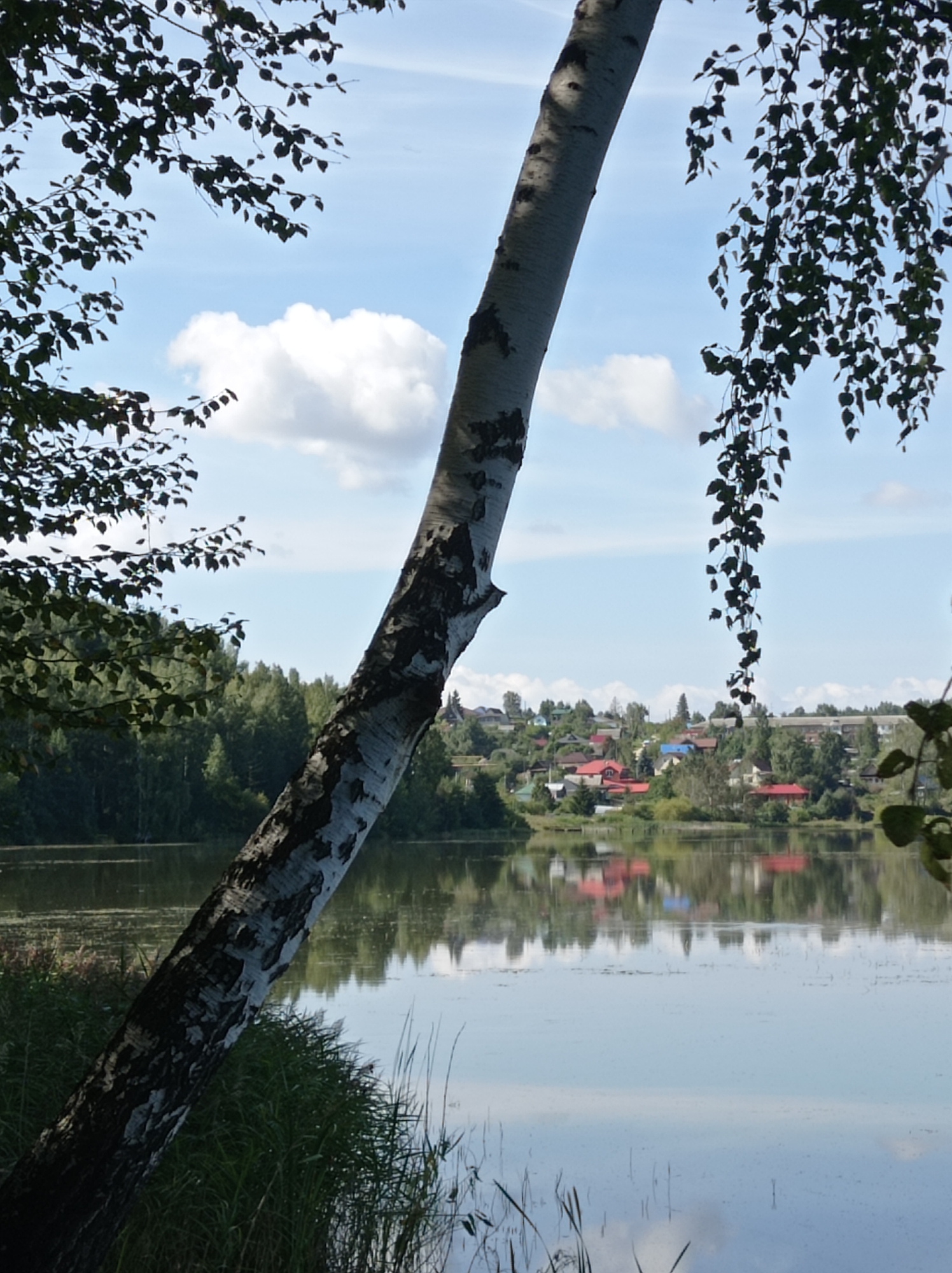 Morning at a birch and pine lakeside near Degtyarsk, Russia