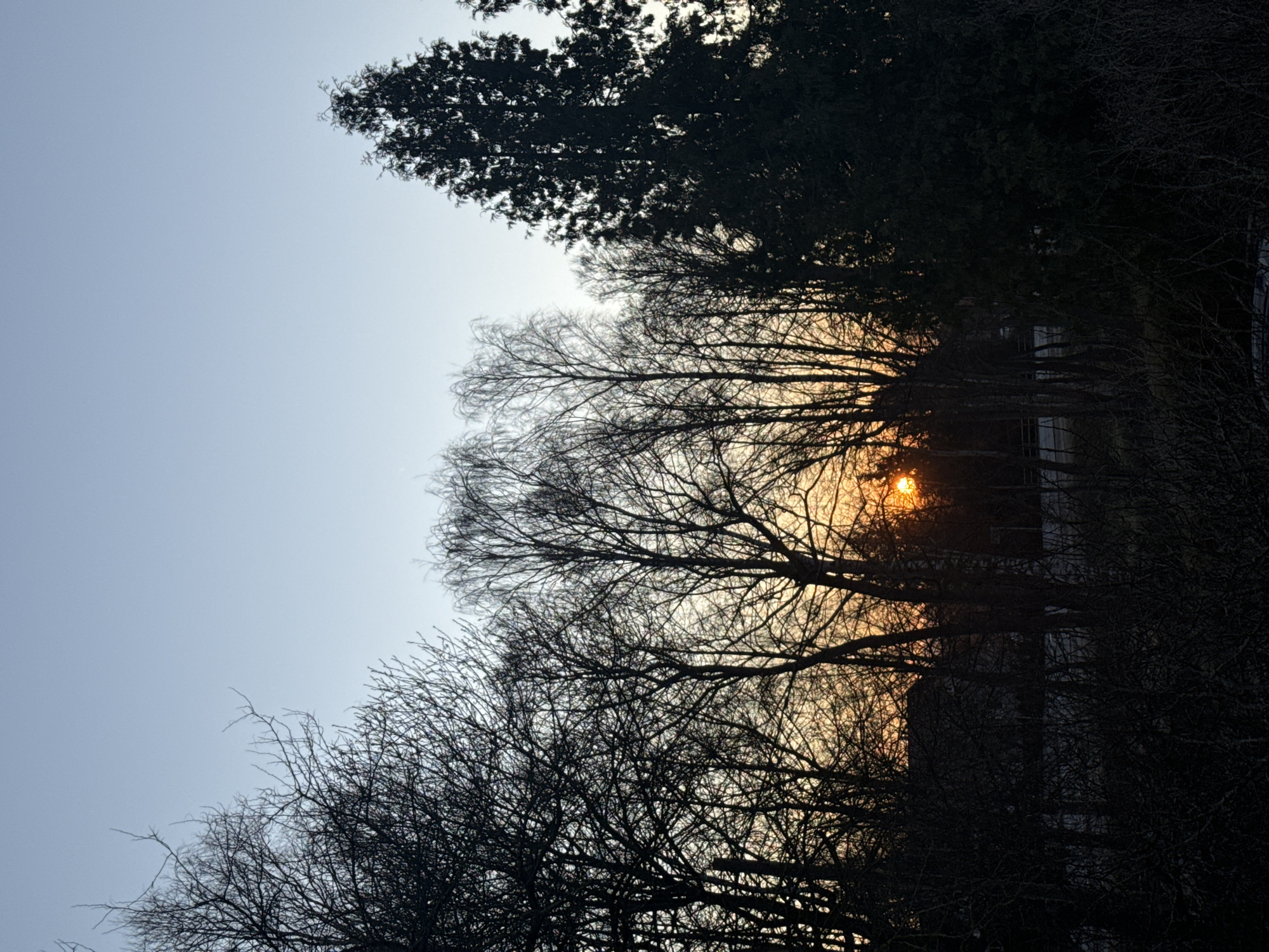Dusk photograph captured in Carnikava, Latvia shows building through bare trees