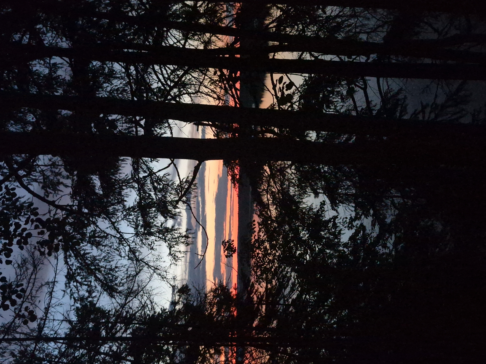 Sunset observed through trees in Chernushka, Russia