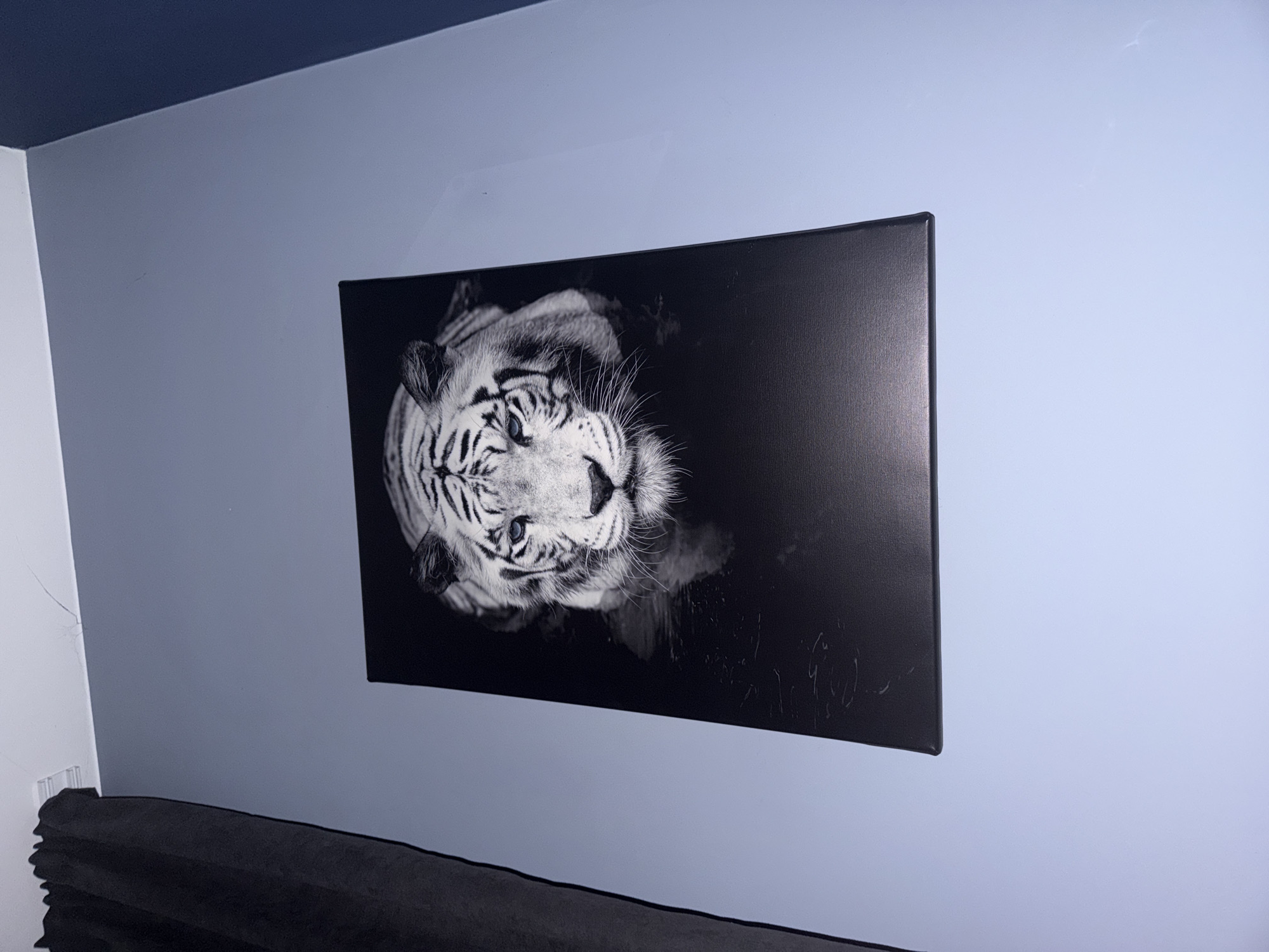 Tiger artwork displayed on wall in Sofia interior