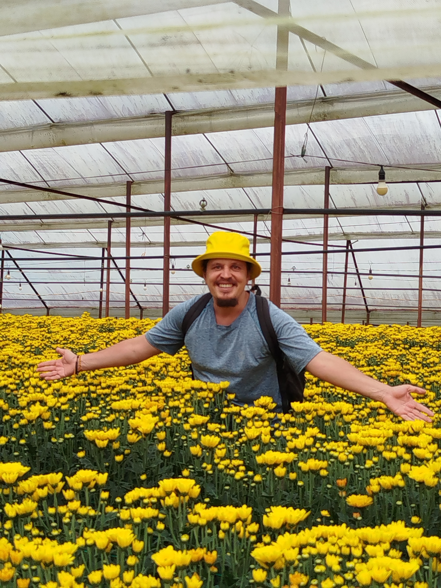 Exploring flowers, tombs, and a temple in Tuý Sơn