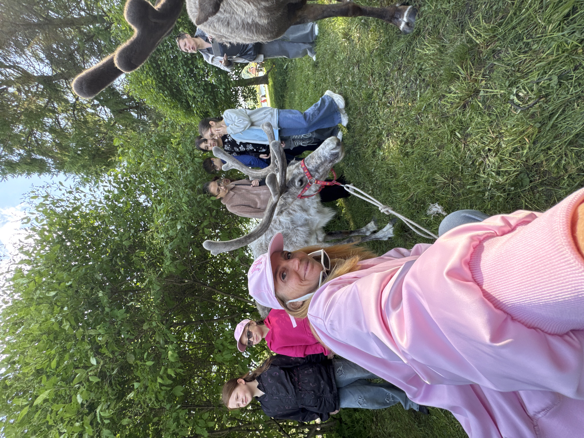 Families interact with harnessed reindeer in Russian towns
