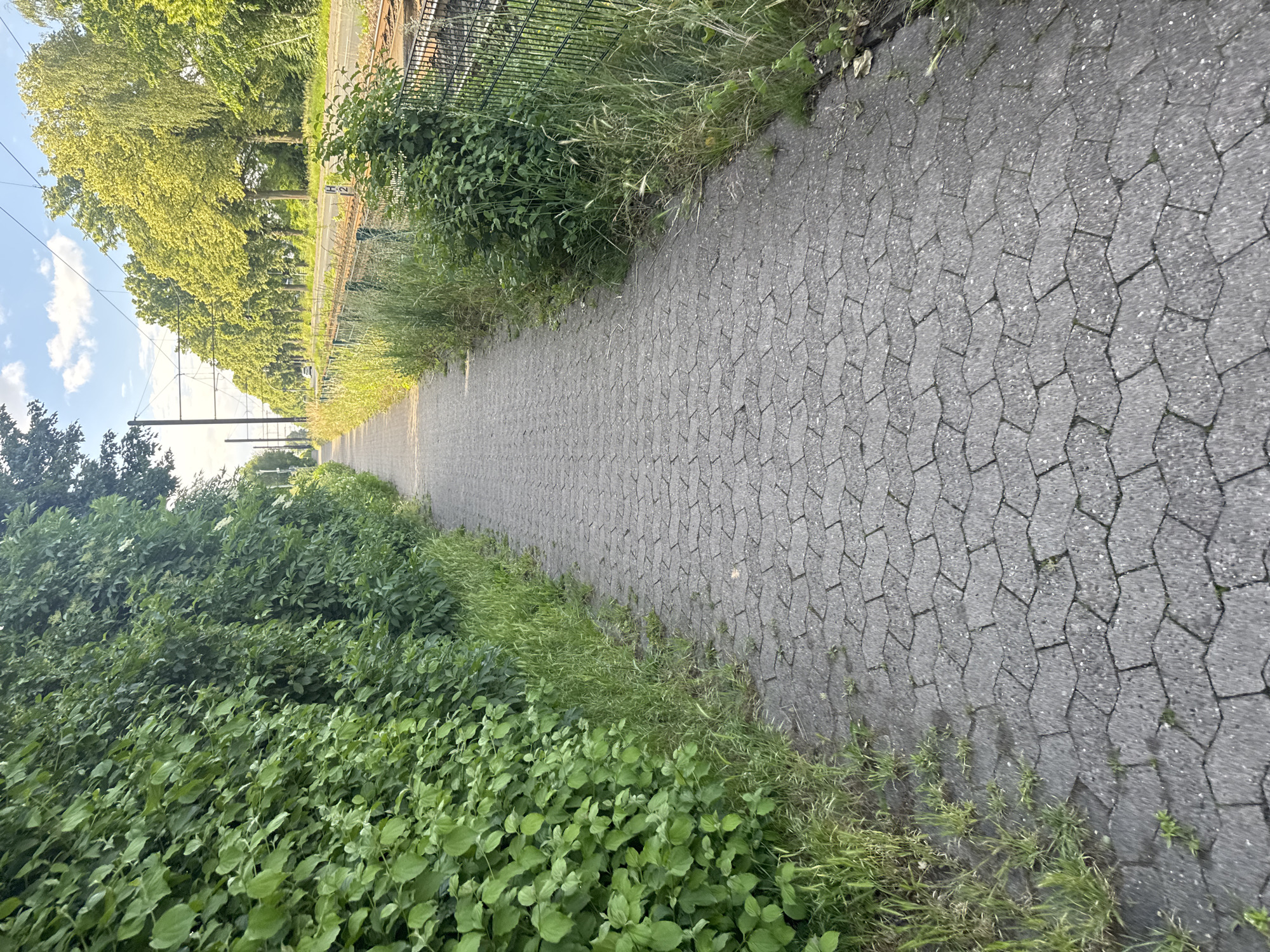 Morning bike ride captures urban landscapes and wildlife