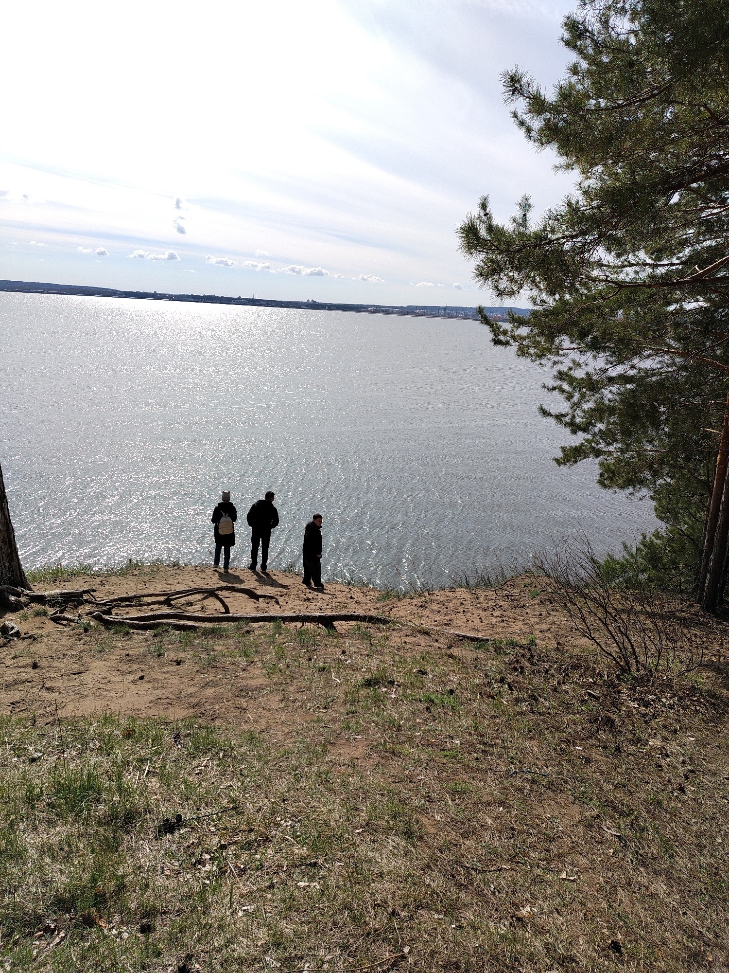 Spring forest exploration captured in Noviy and Chaikovsky Russia