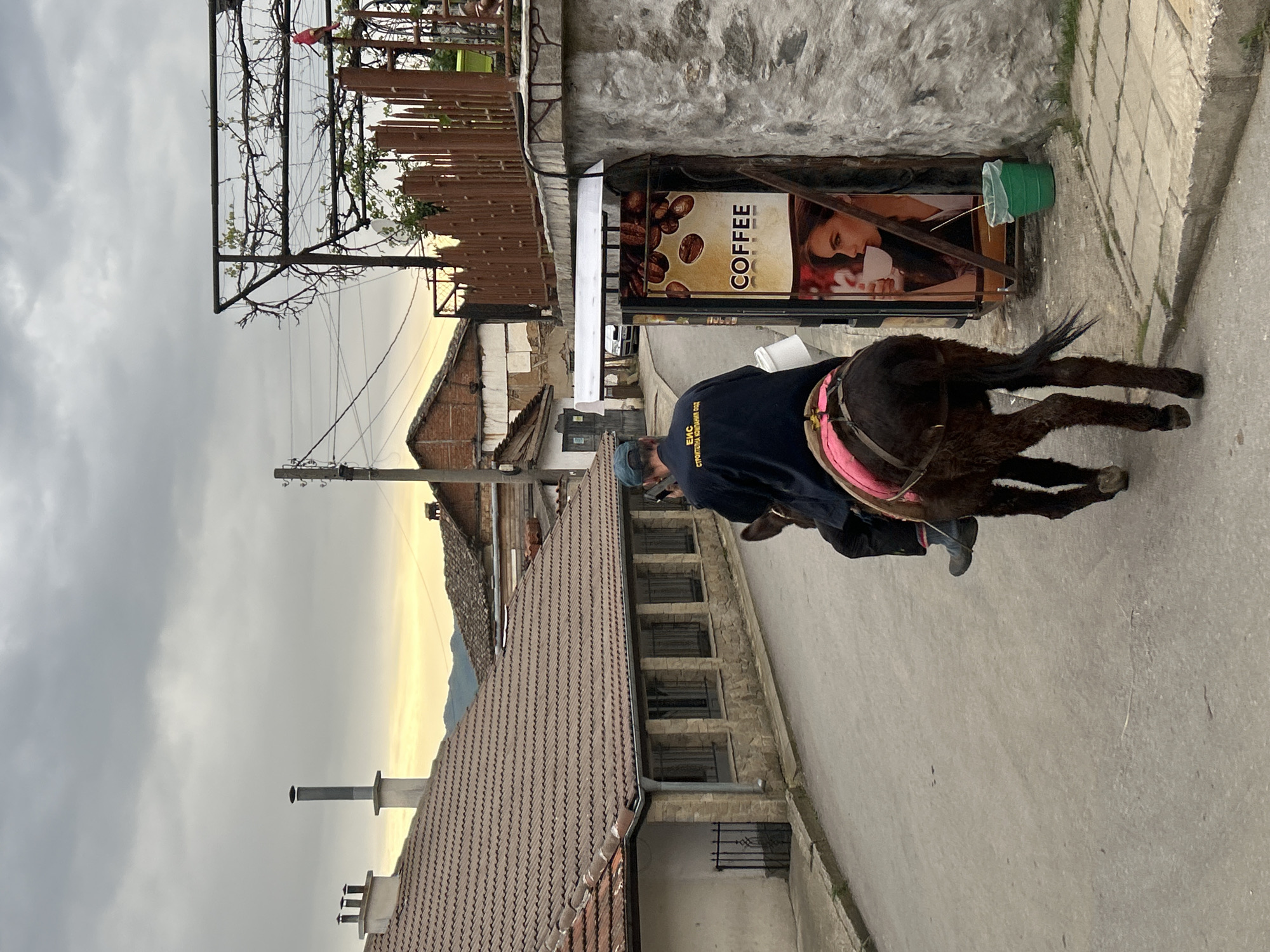 Man rides donkey with pink saddle through Bulgarian town streets