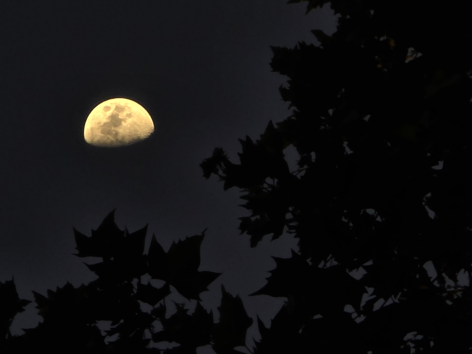 Moon-watching and nighttime Paris from Montrouge