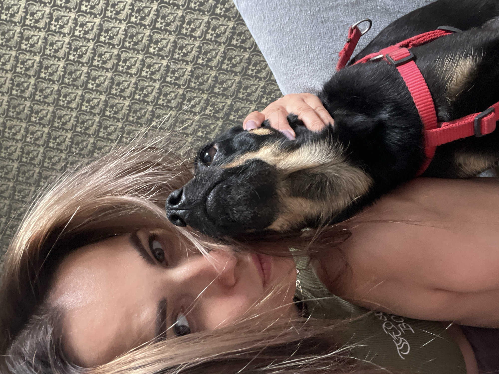 Lazy morning at home with a dog, plus a car errand
