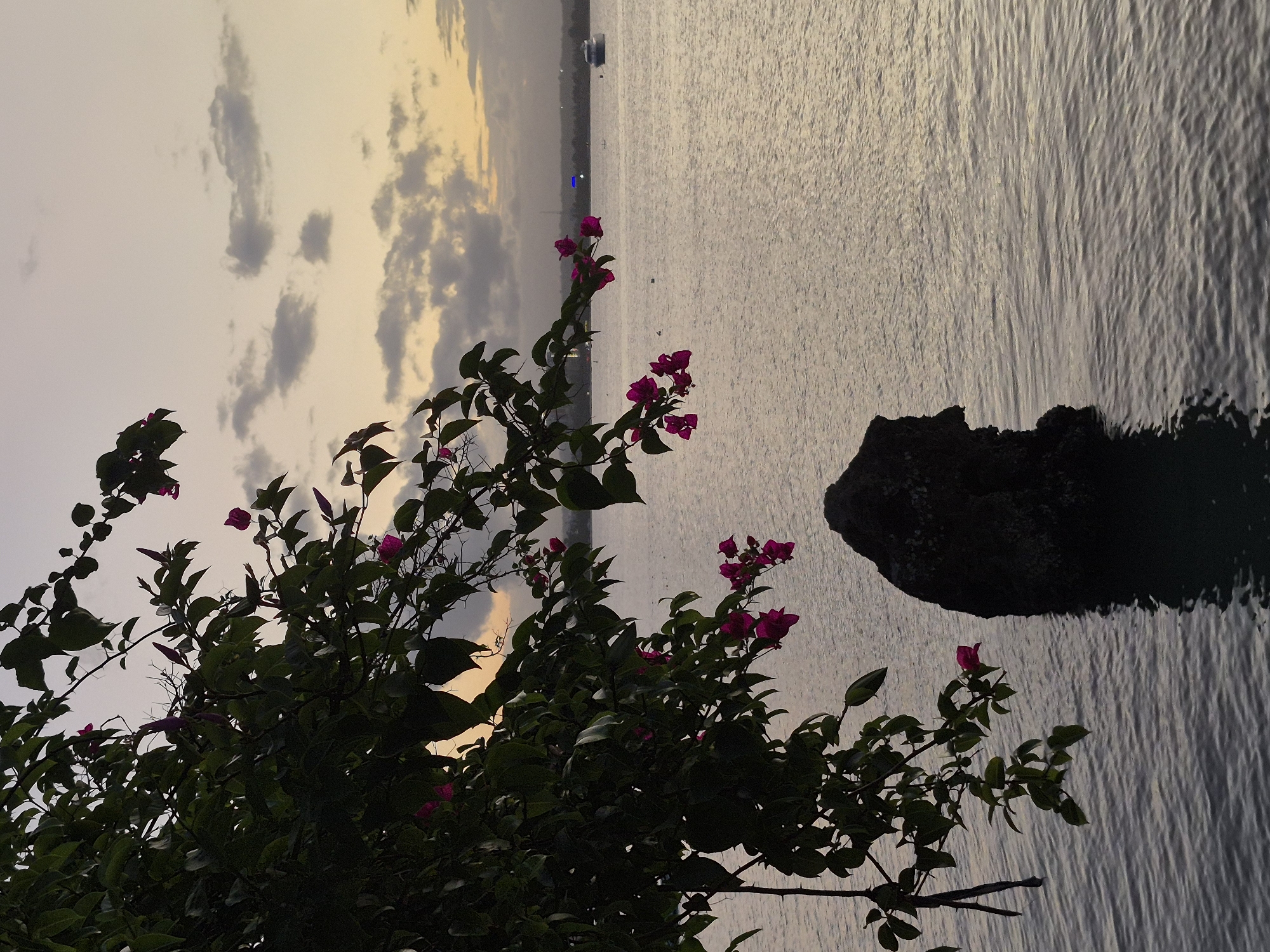 Witness captures diverse waterfront scenes across Dar es Salaam