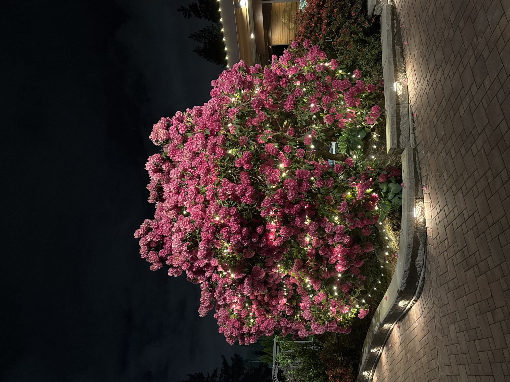 Evening scenes captured across Burnaby's residential and recreational areas