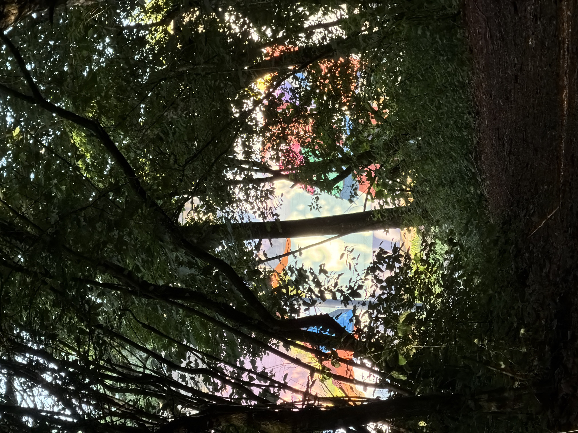 Evening woodland walk documented in Schifflange, Luxembourg