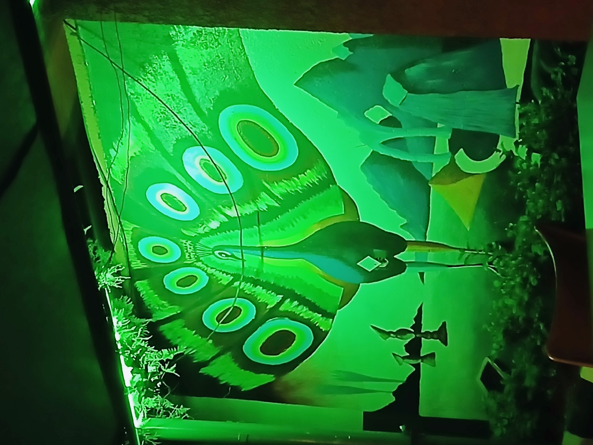 Evening indoor scenes captured in Jos include murals, televised soccer
