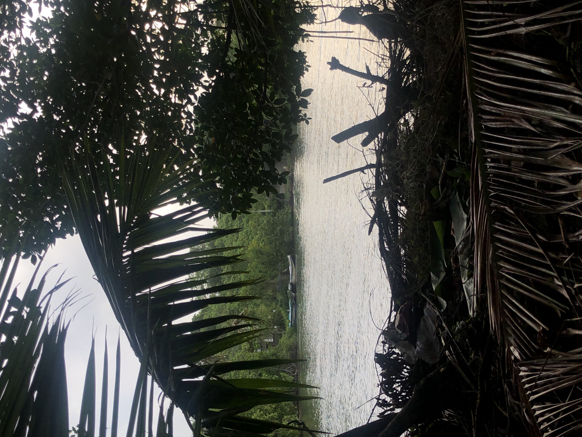 Rural scenes documented in Kathaluwa: water buffalo, boats, waterways