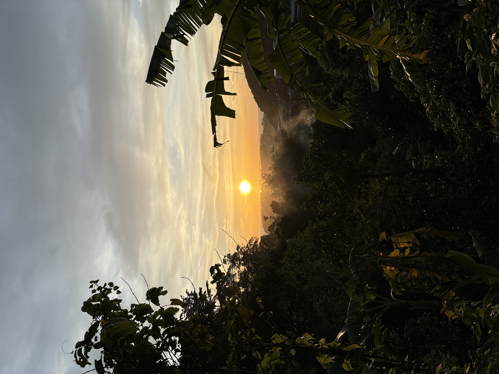 Sunset dog walks and selfies captured in Karon, Thailand