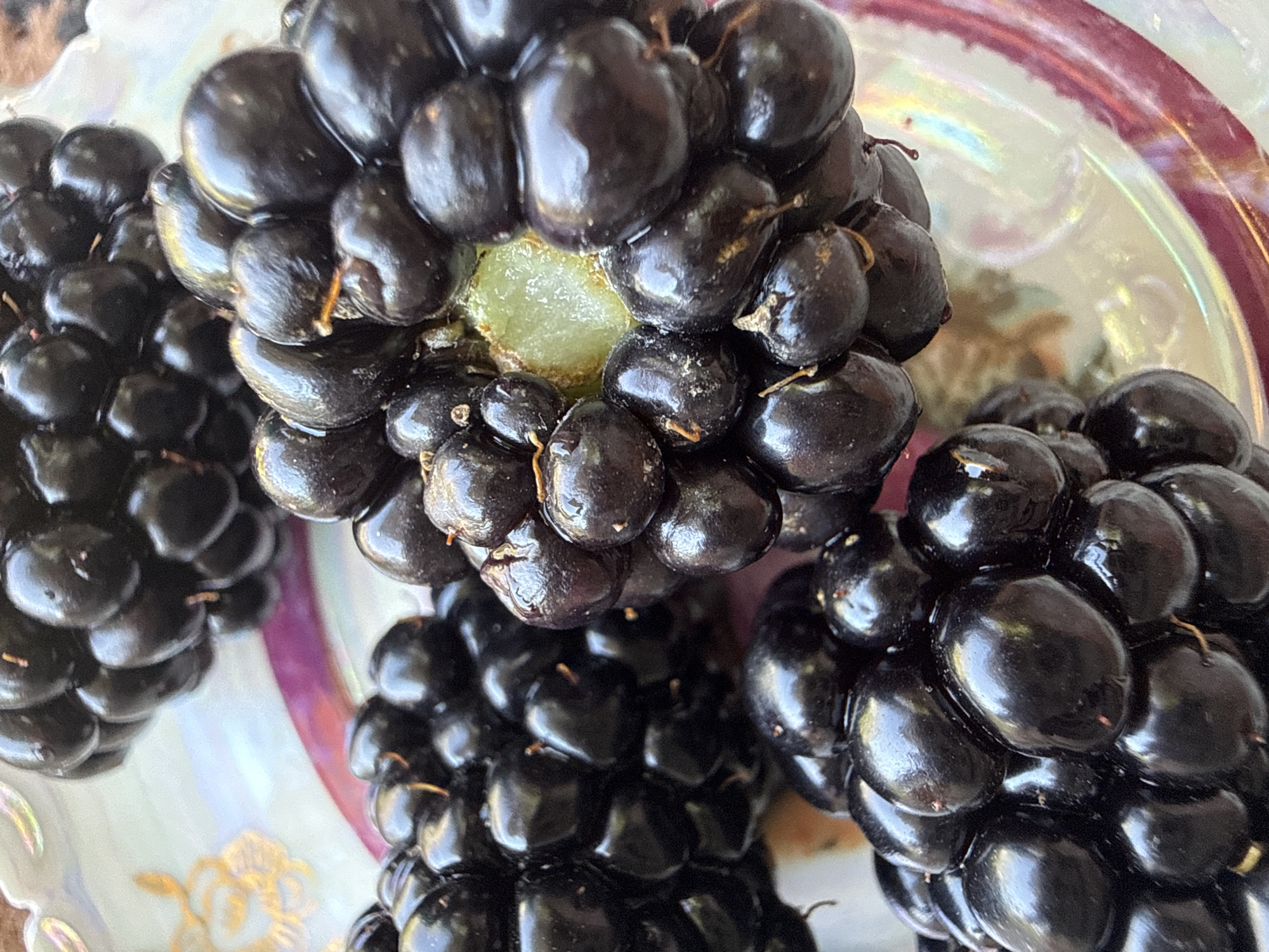 Blackberries, wildflowers, and a makeup routine up close