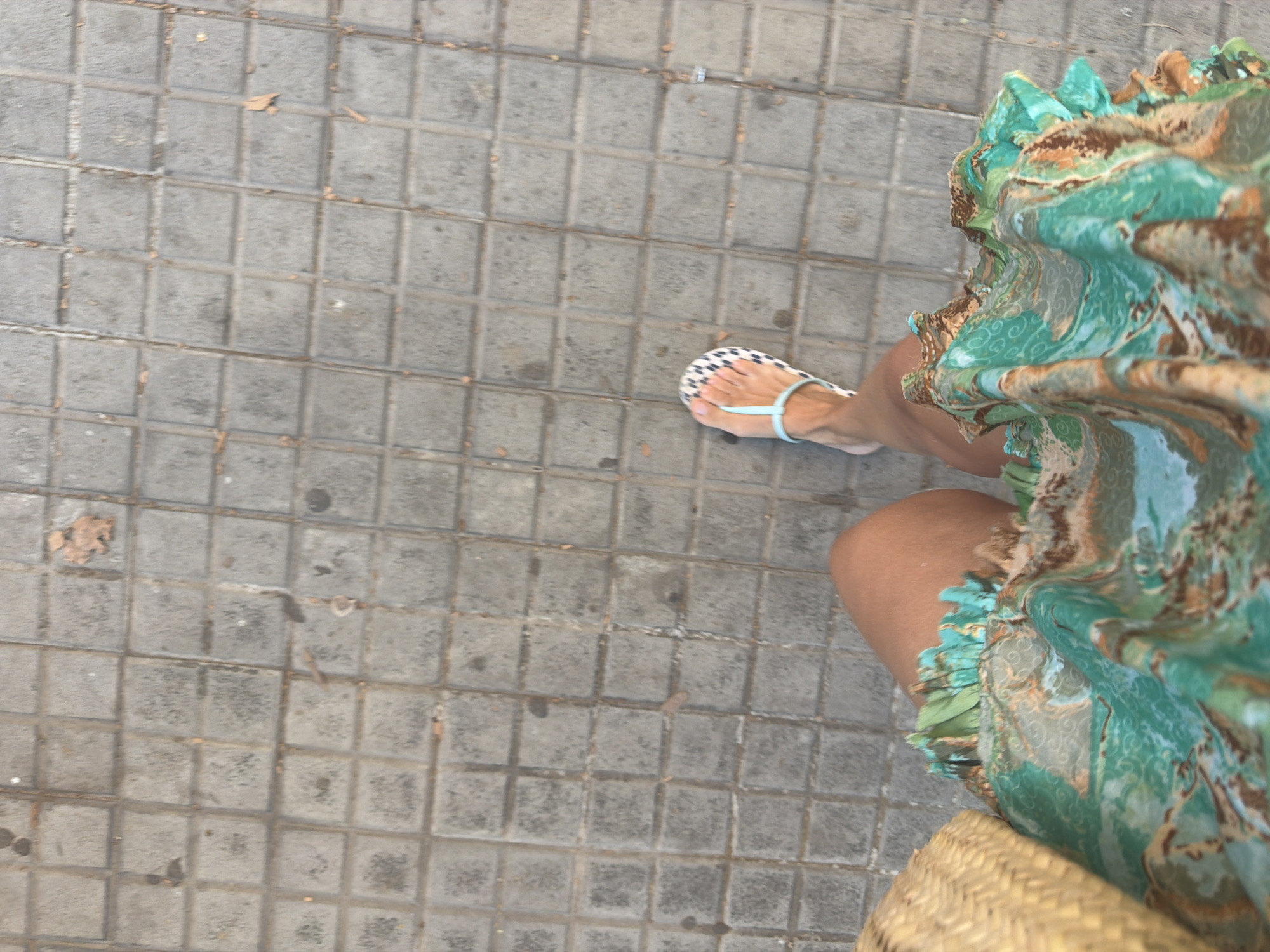 Strolling Barcelona streets lined with blooming summer flora