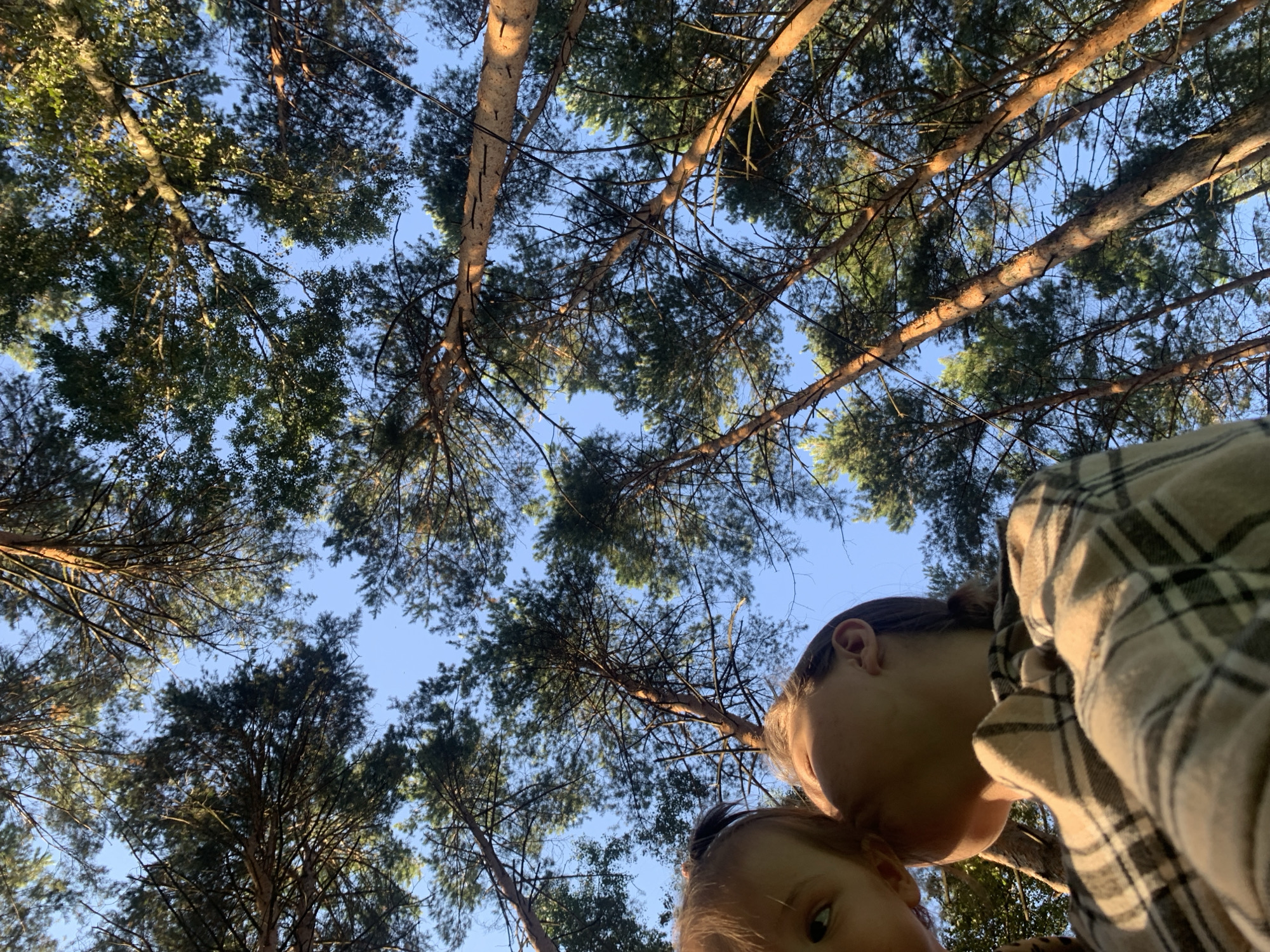 Afternoon in Chaikovsky: pine trees, playgrounds, and old train cars