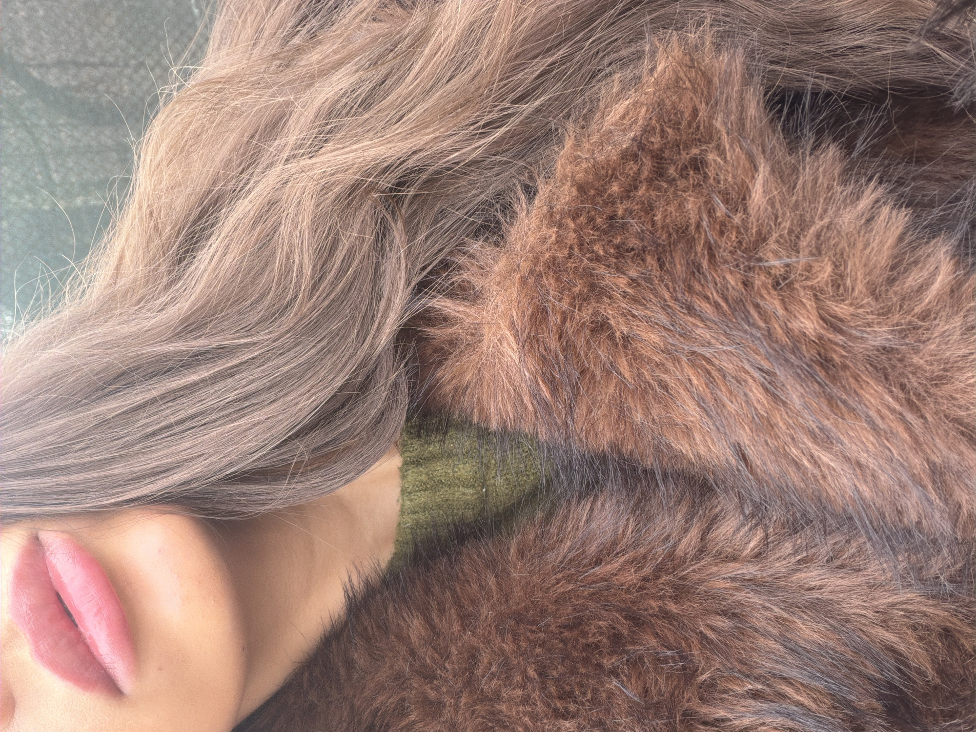 Close-up portrait with hair and fur captured in Bulgaria
