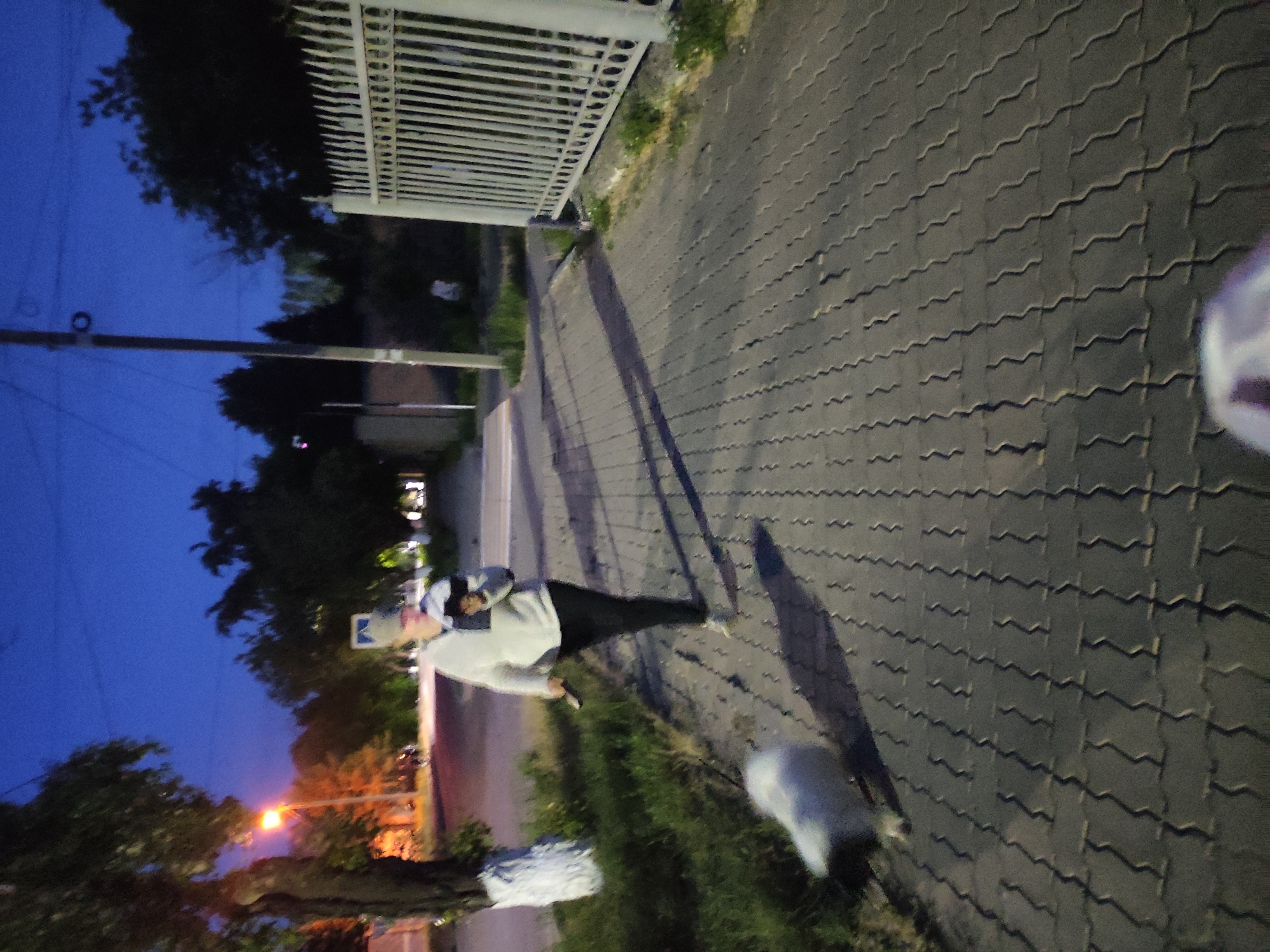 Routine street activity, concerning restaurant incident reported in Pavlodar
