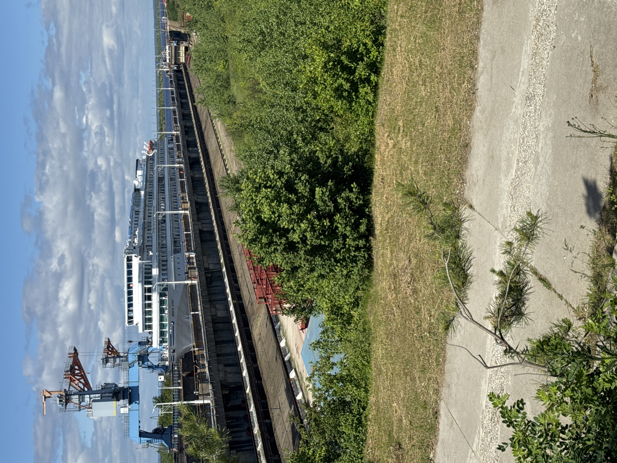 Passenger ship VOLGA STAR docked at Chaikovsky shipyard