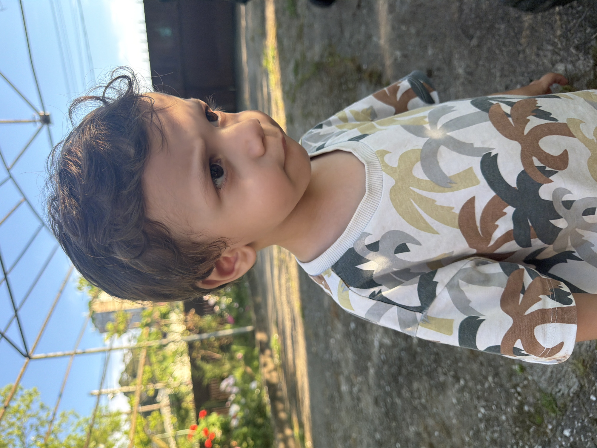 Garden afternoon in Sokhumi with roses, chickens, and poolside activities