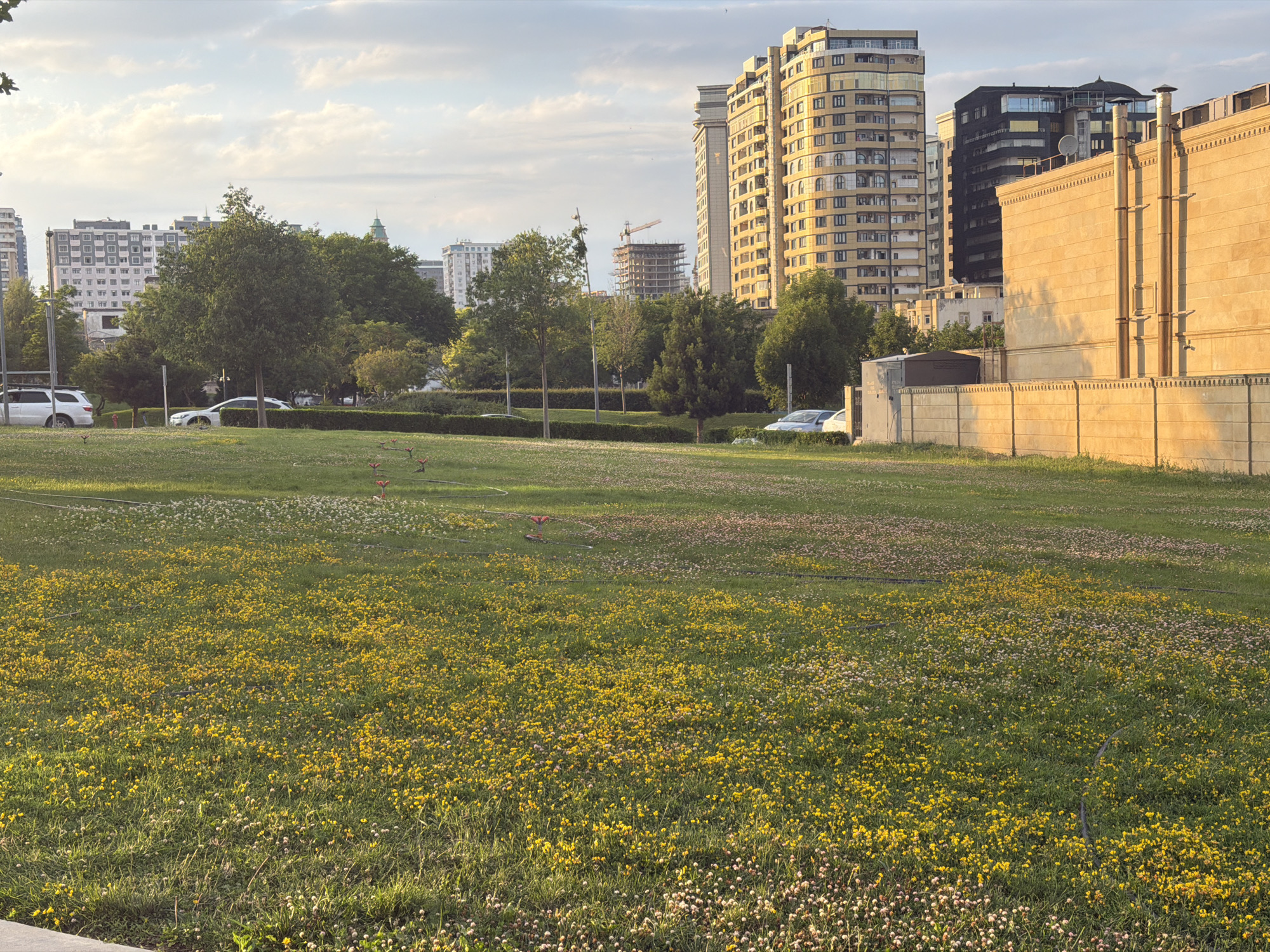 Afternoon in a Baku city park, golden light and greenery