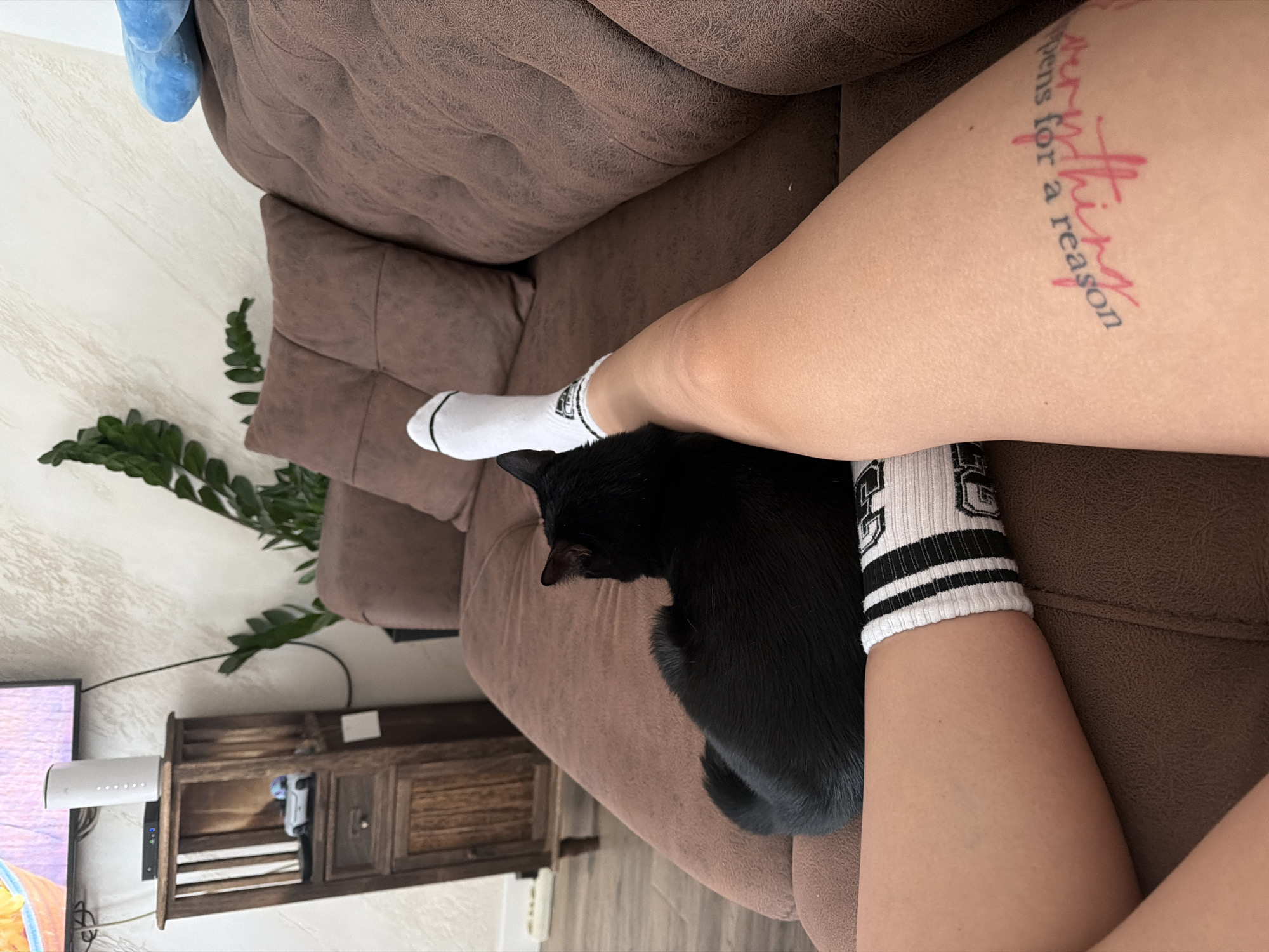 Person relaxes with mismatched socks and black cat in Gabrovo