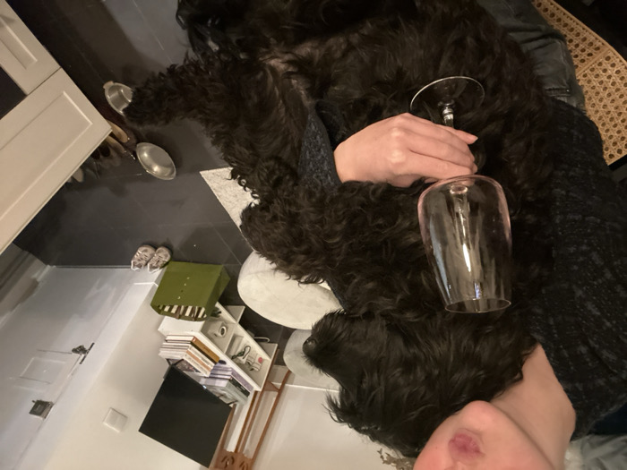 Black dog rests on owner's chest during quiet evening