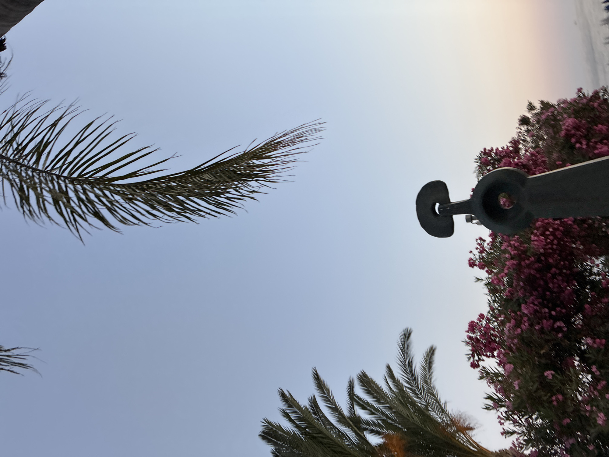 Twilight evening outside Alanya's Aladdin Beach Hotel