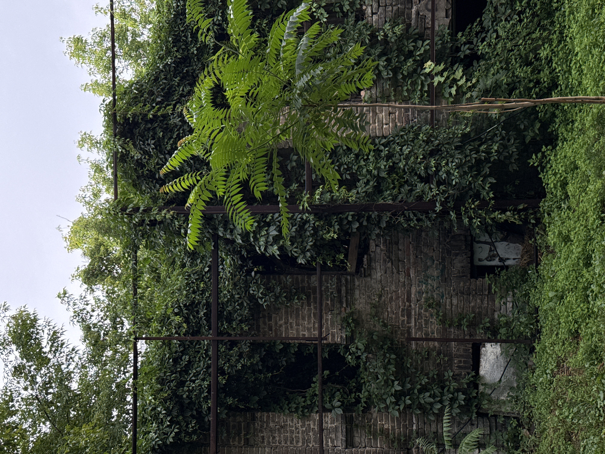 Ivy-covered buildings and blooming flowers on an overcast afternoon