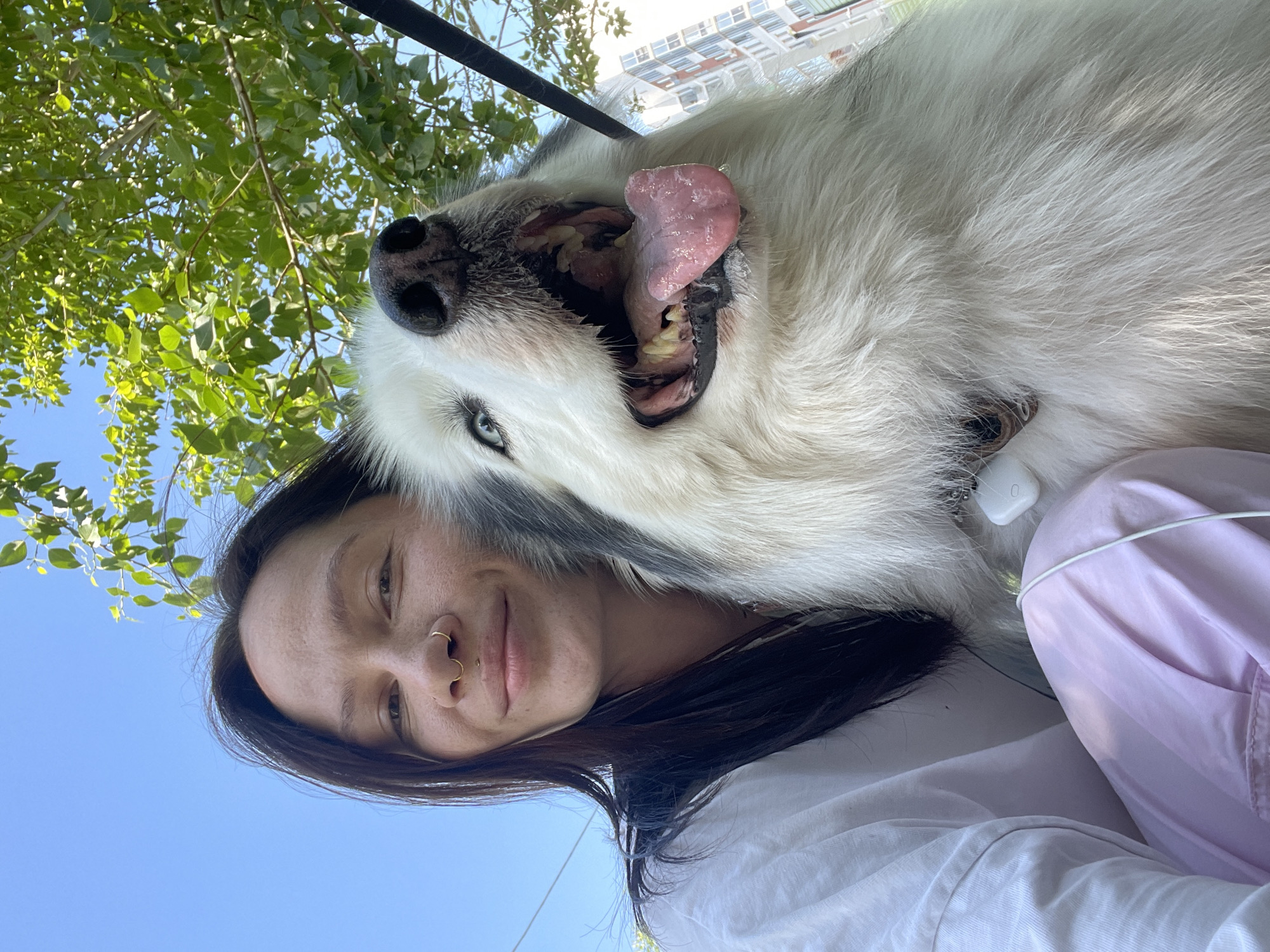 Woman takes selfie with large white dog in Izhevsk